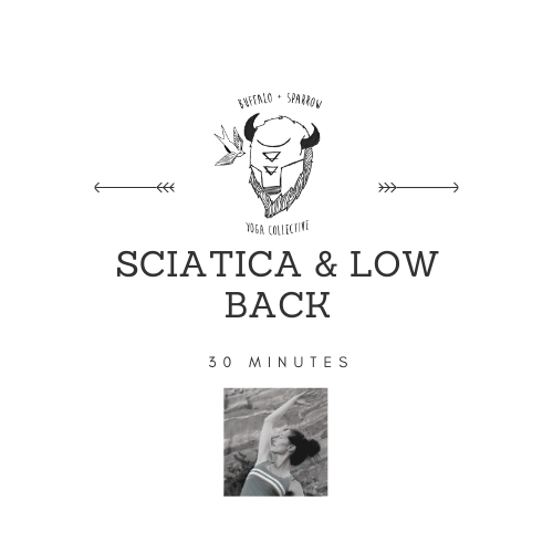 Sciatica + Low Back