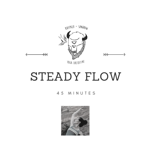Steady Flow