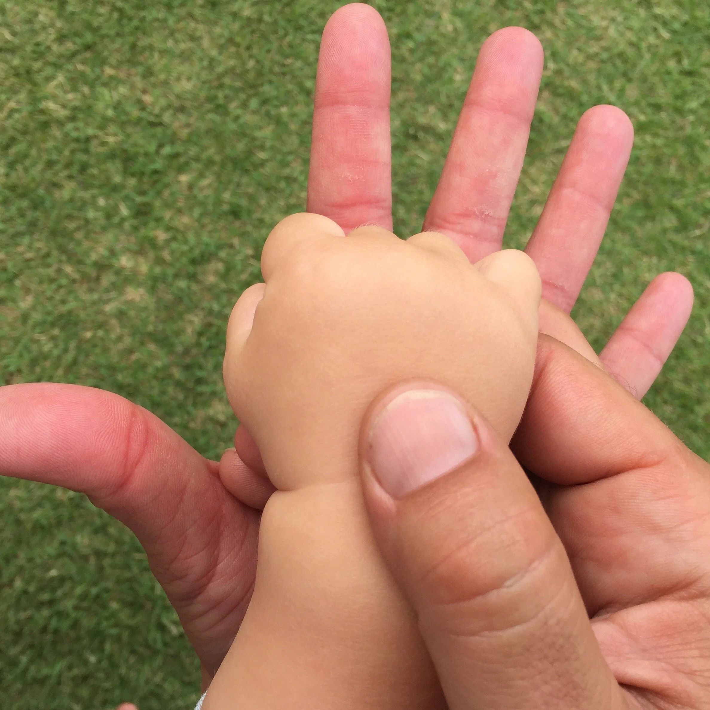 neurodiverse affirming occupational therapy for autism