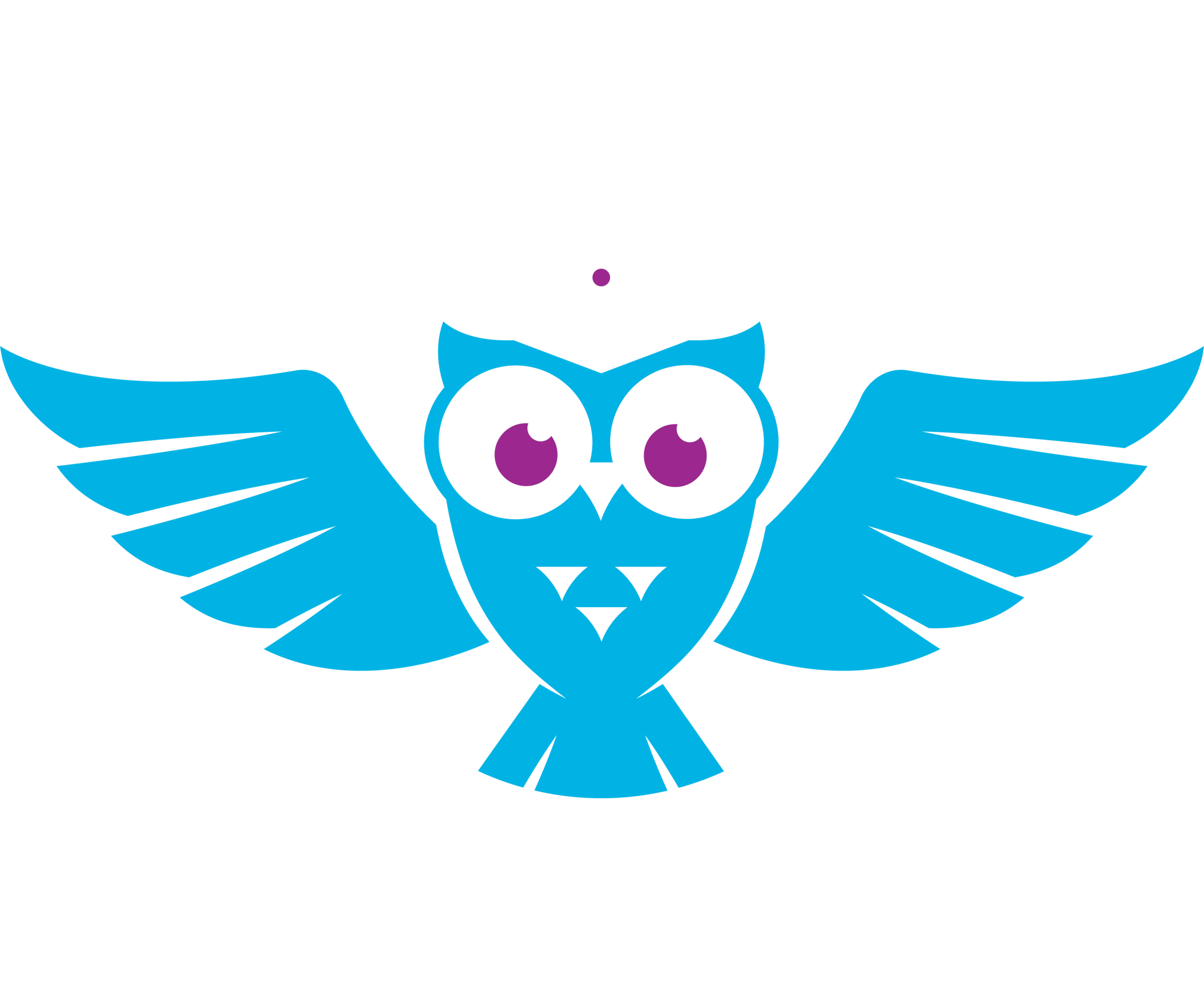 Dance Sock Academy LTD