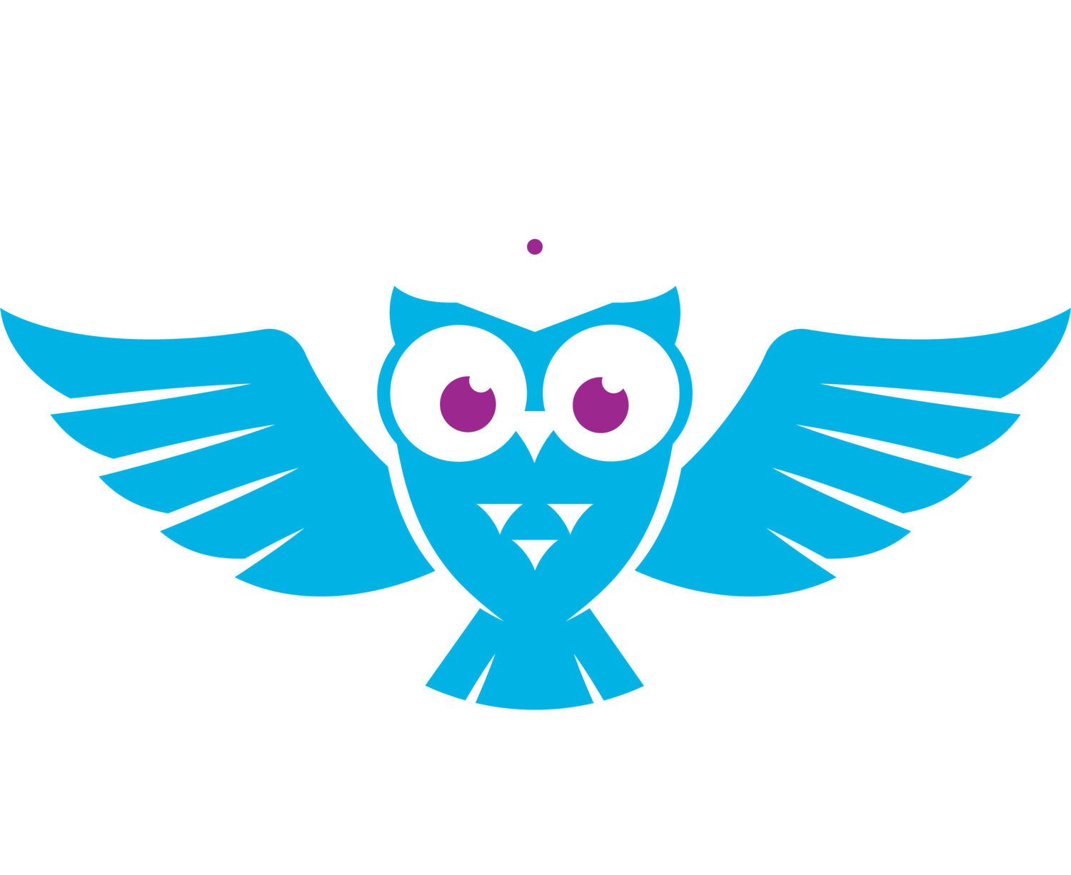 Dance Sock Academy LTD