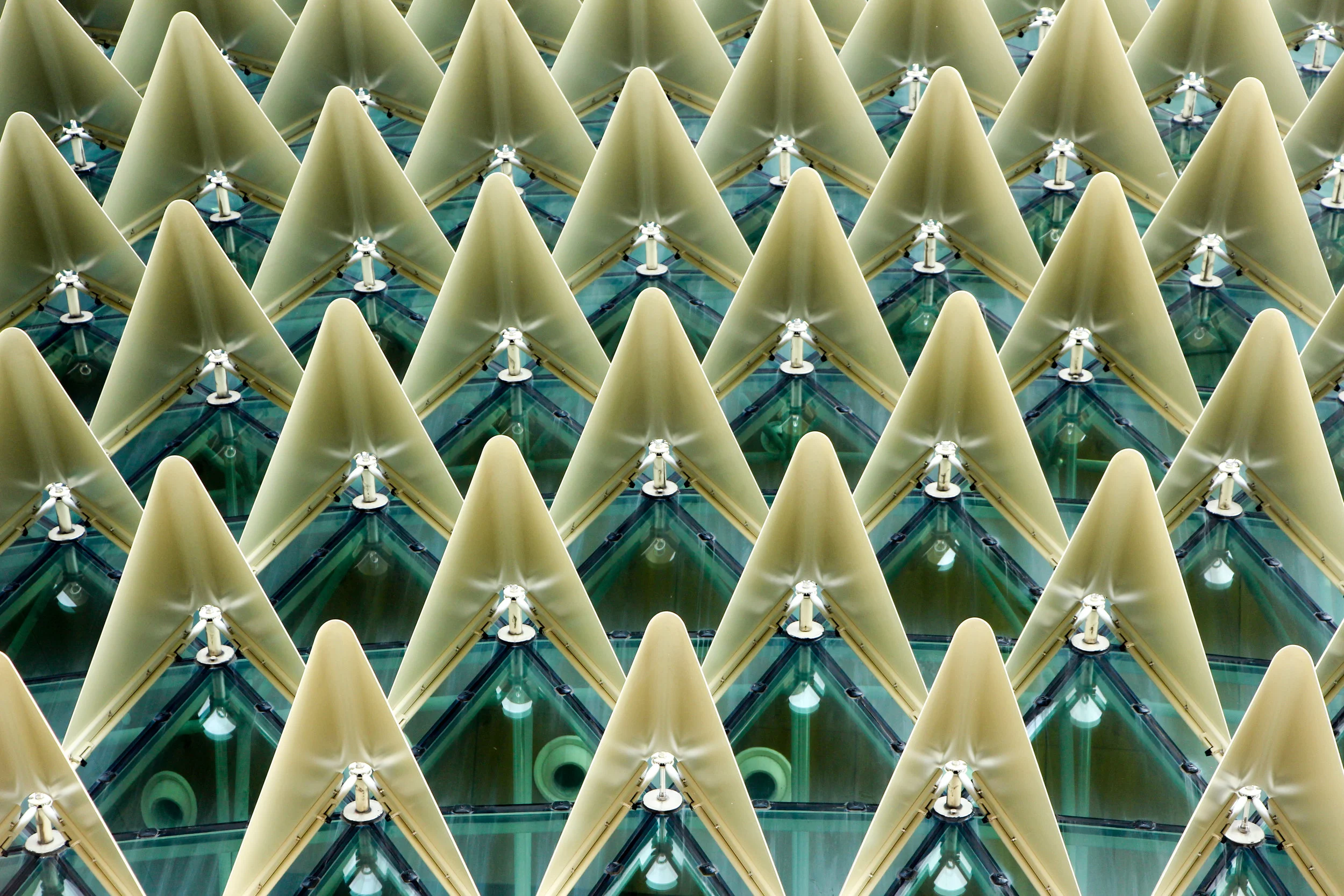 Why Leaders Cannot be Complacent