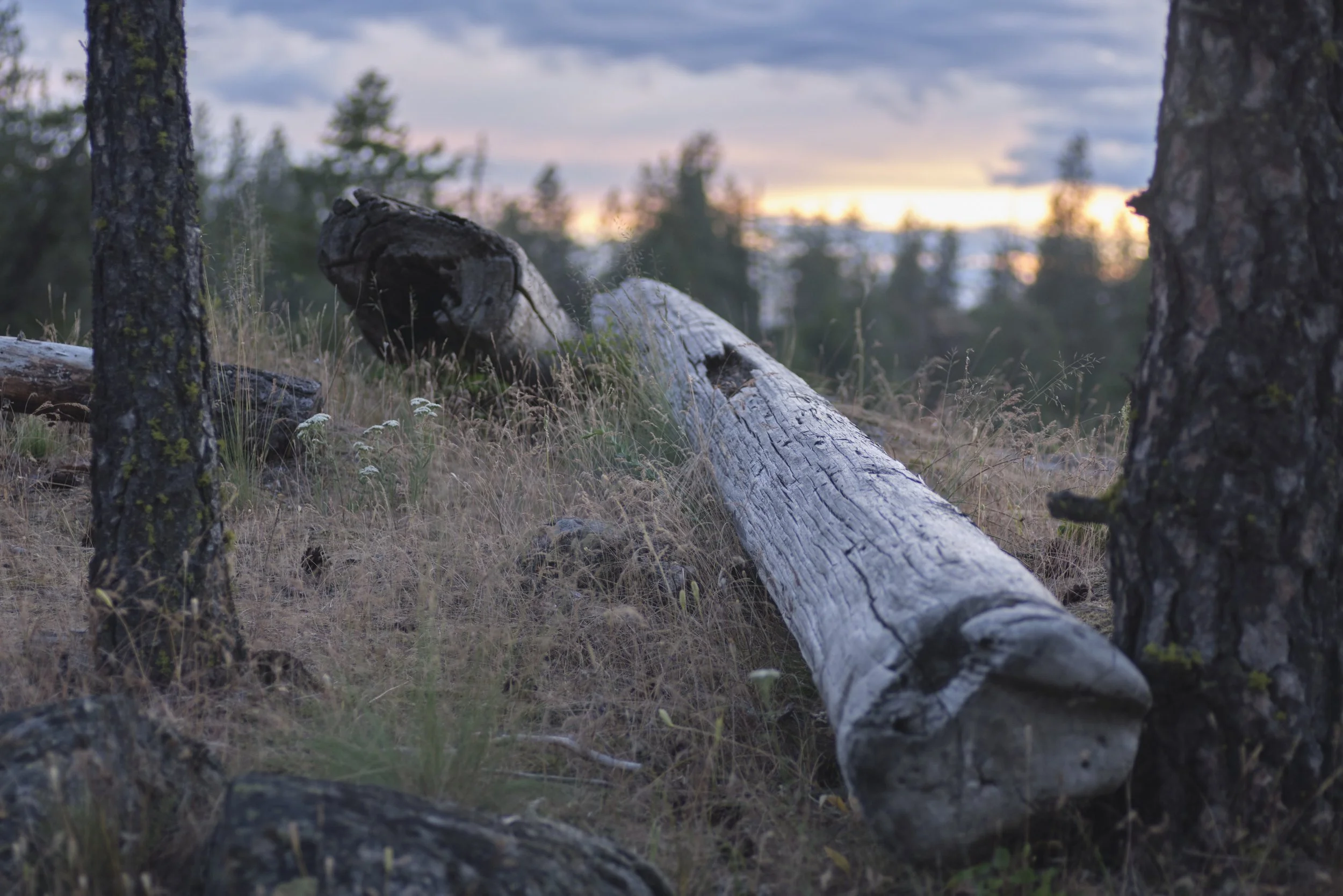 DSCF3852 1.jpg