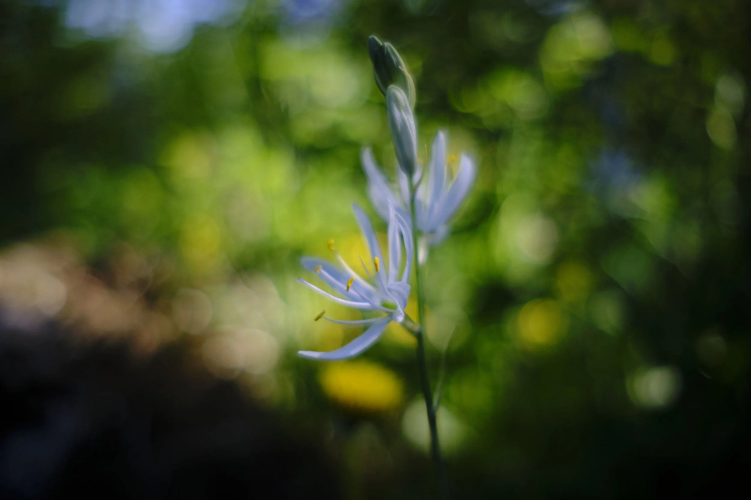 DSCF2619_1.jpg