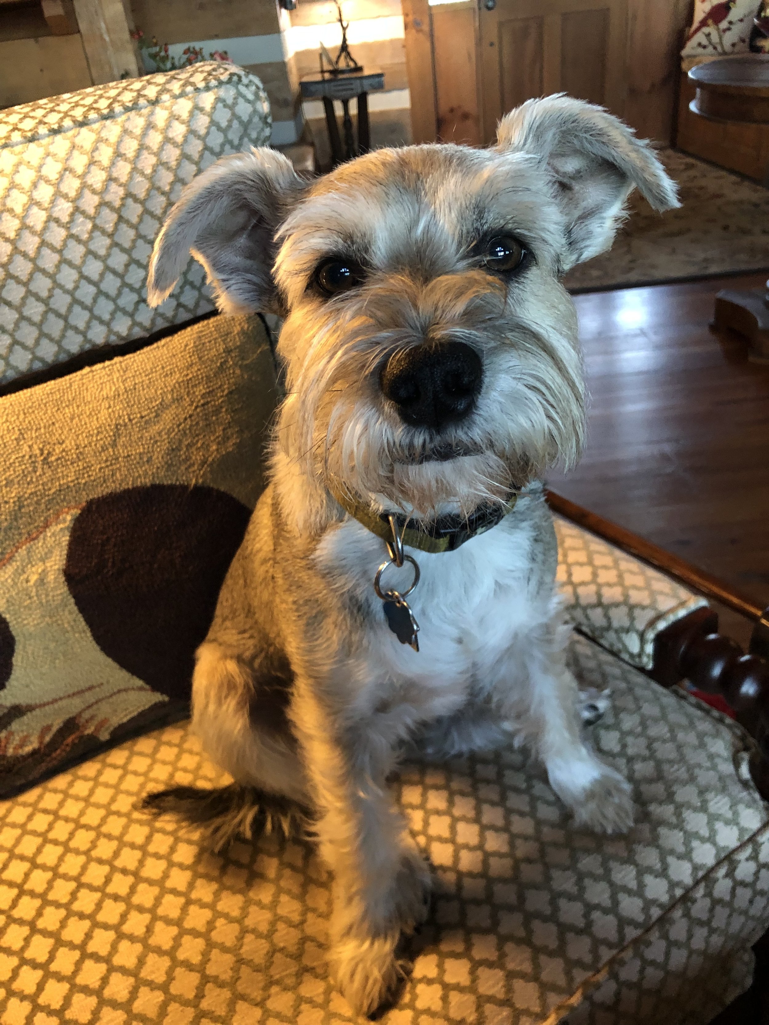 Baxter