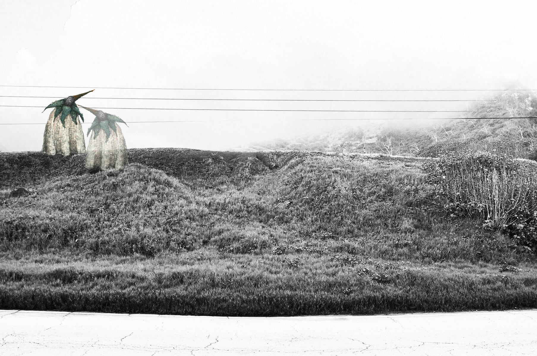 Merely A Chimera No. 38
