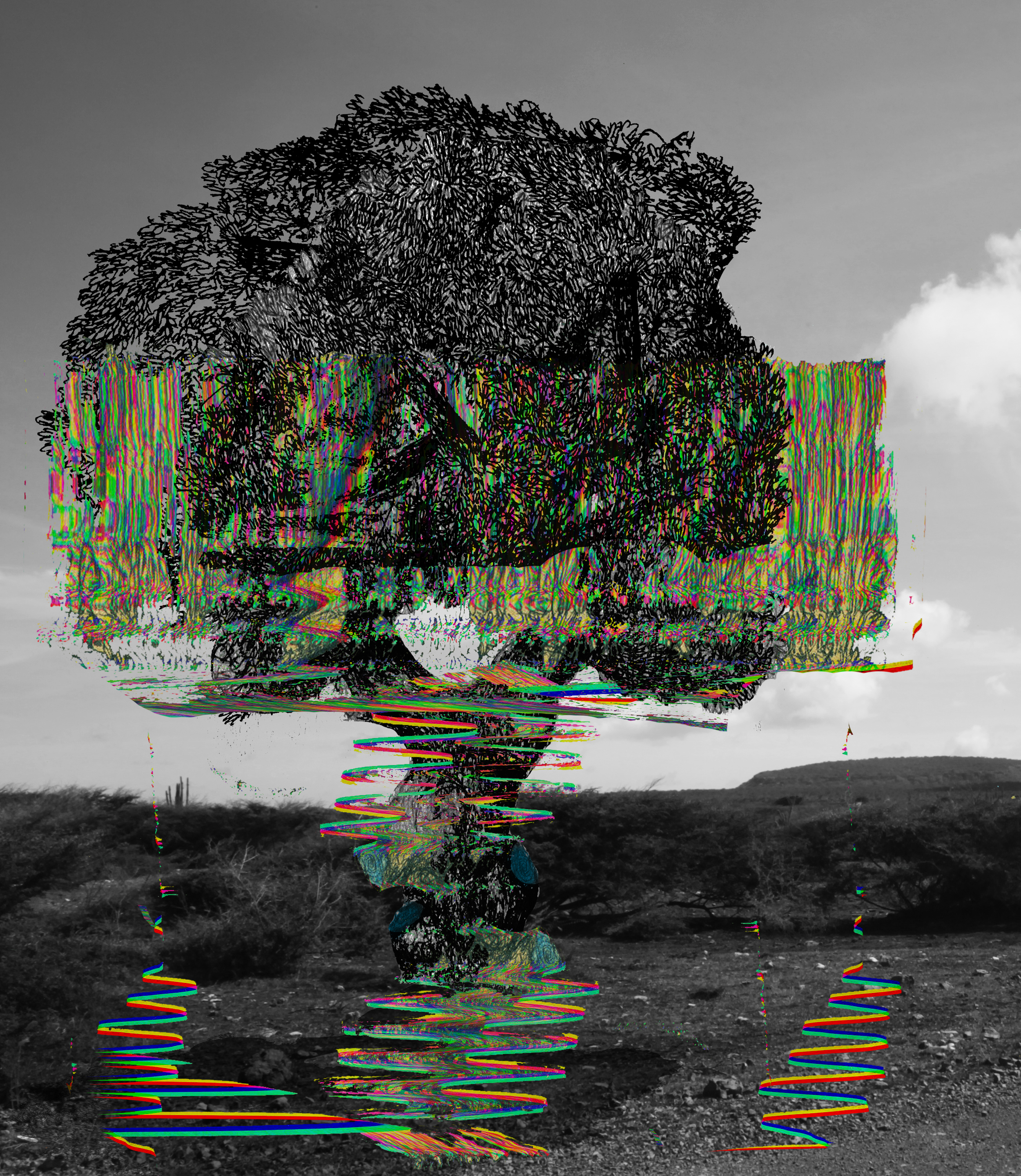 Parataxic Distortion No. 9