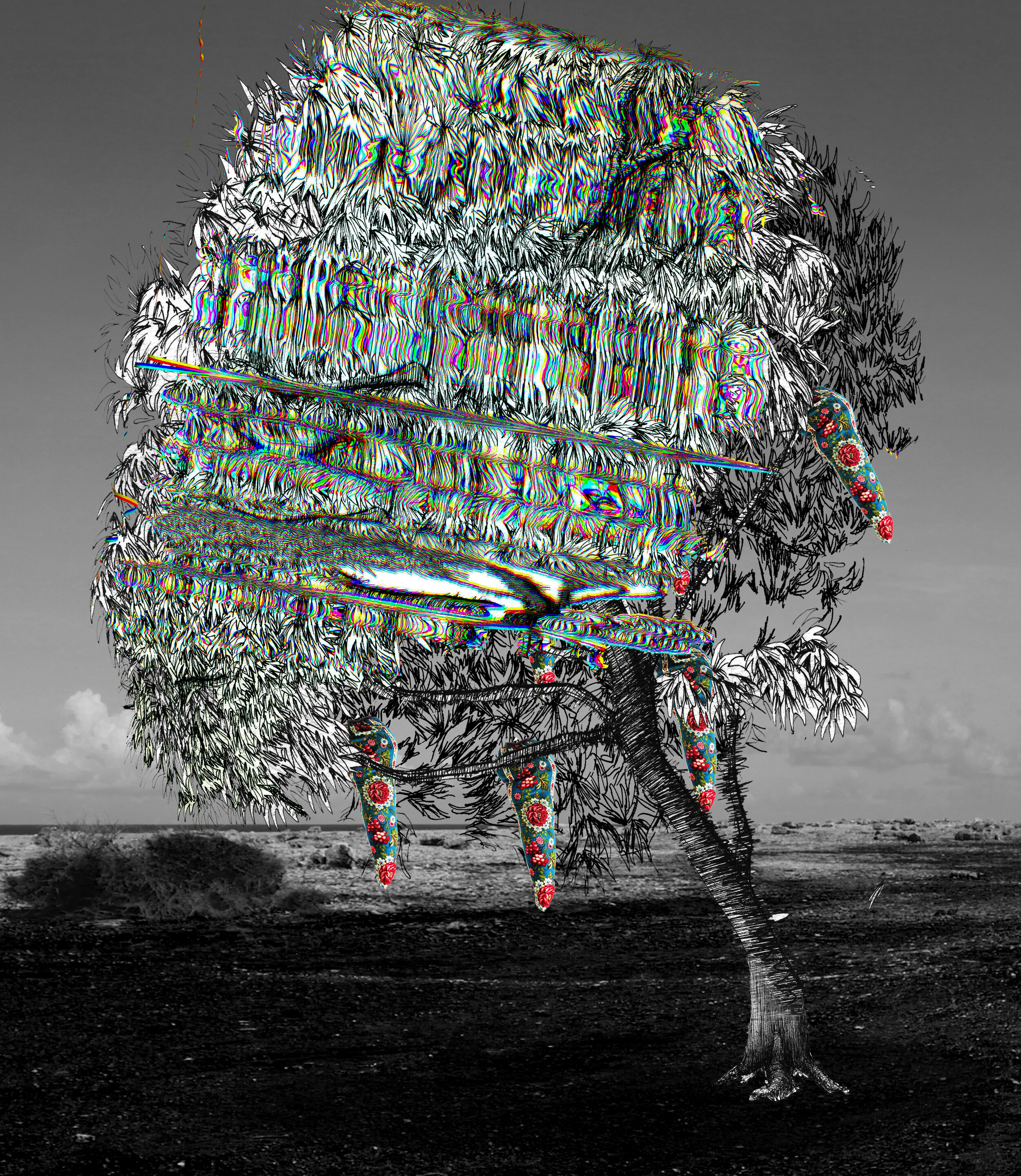 Parataxic Distortion No. 12