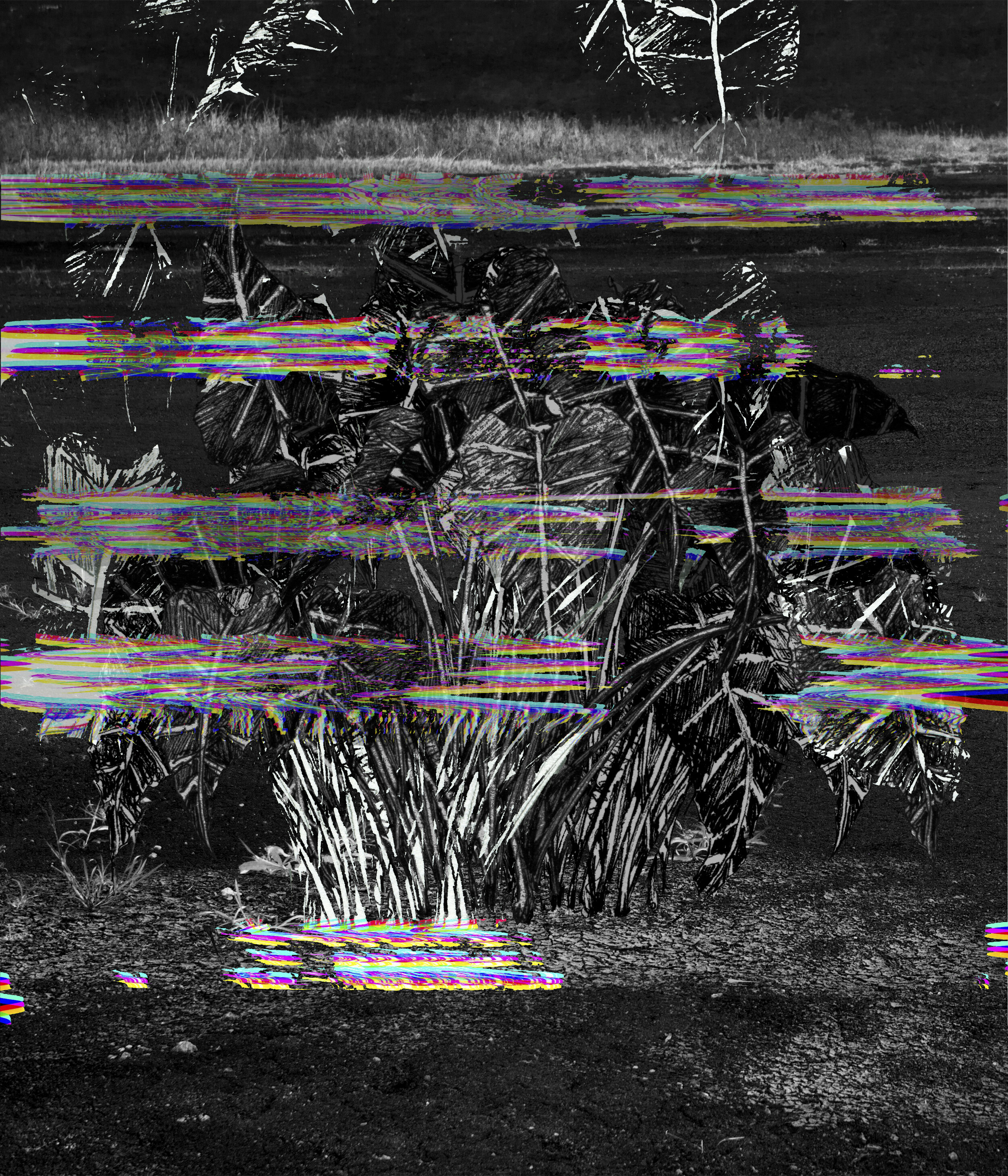 Parataxic Distortion No. 15
