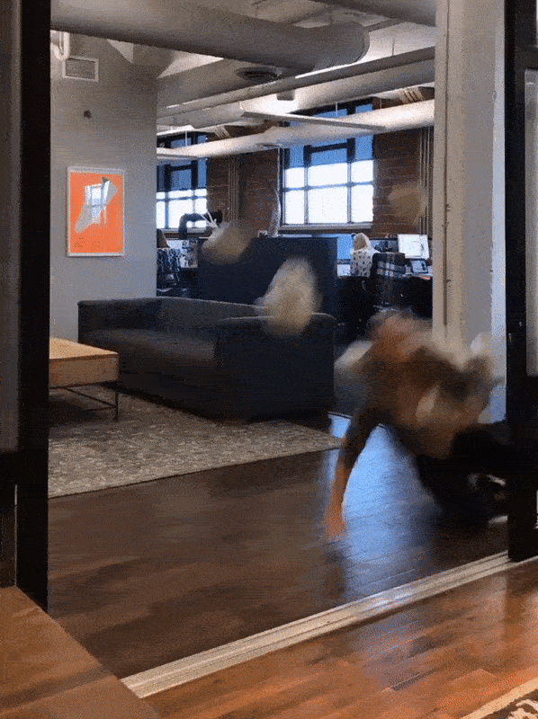 Stunt_6.gif