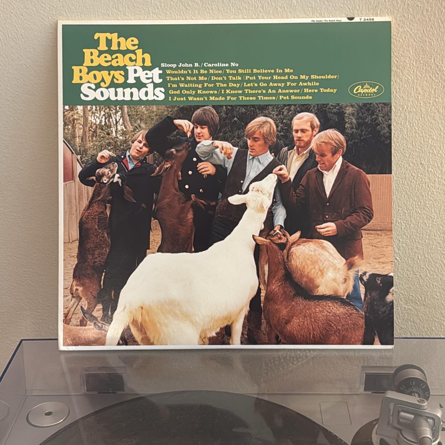 Brian Wilson's music is as formative to me as learning to walk and talk. The music that percolated in his brilliant mind and that he shared with the world created the ears I have and forever informed my musical taste. The Beach Boys were my first fav