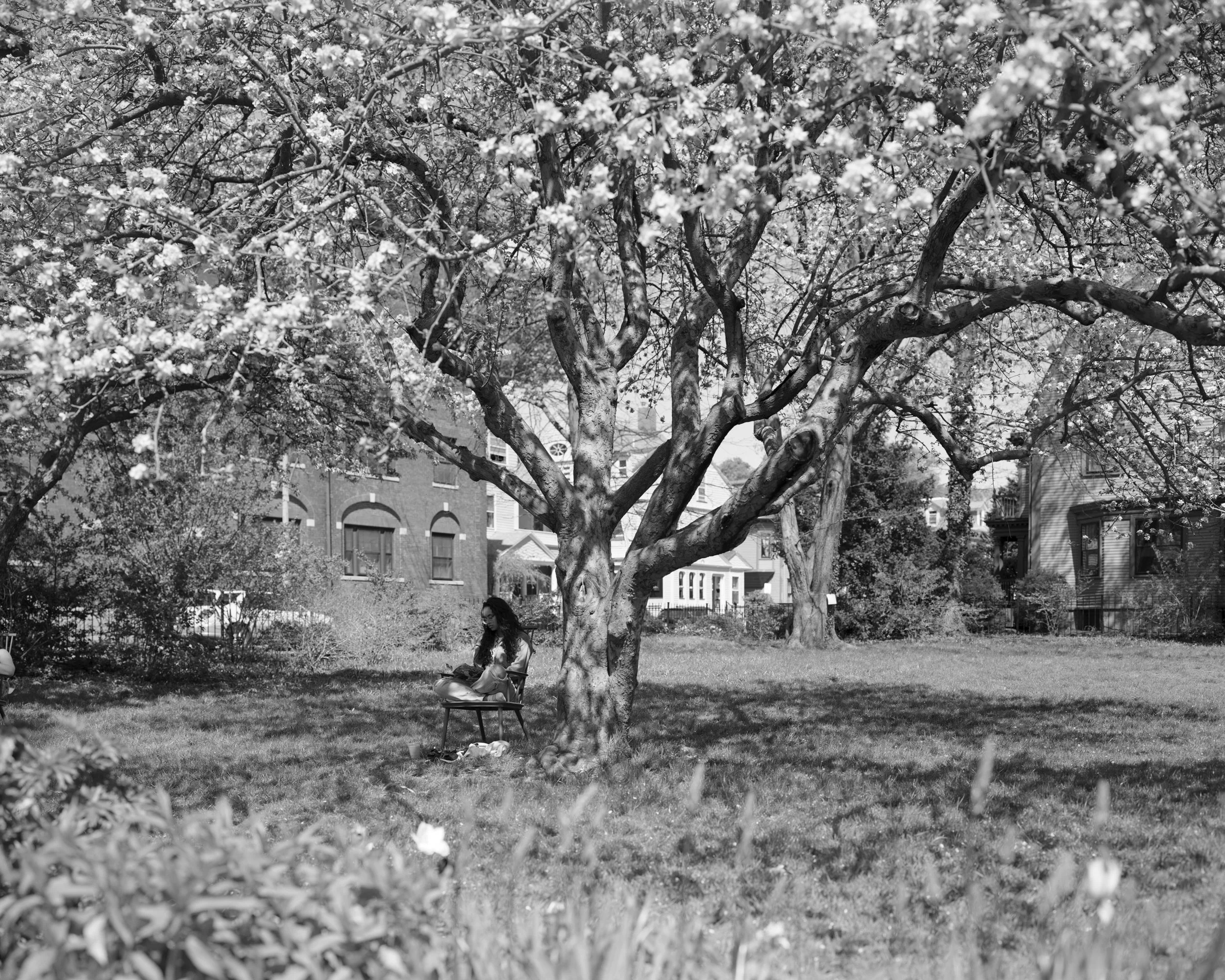 Reading, Loring Greenough House lawn, Jamaica Plain, MA