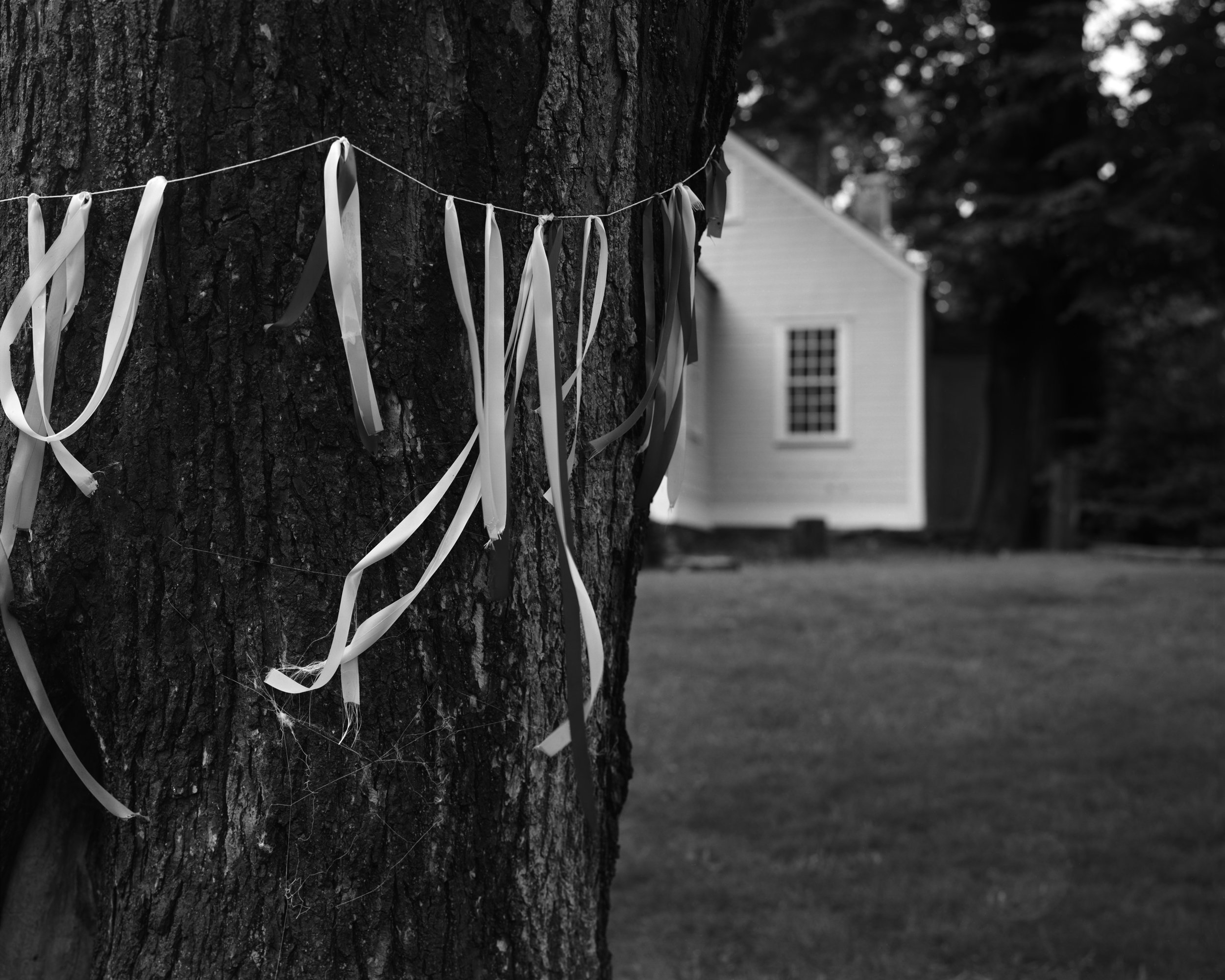 Ribbons, Providence, RI. 