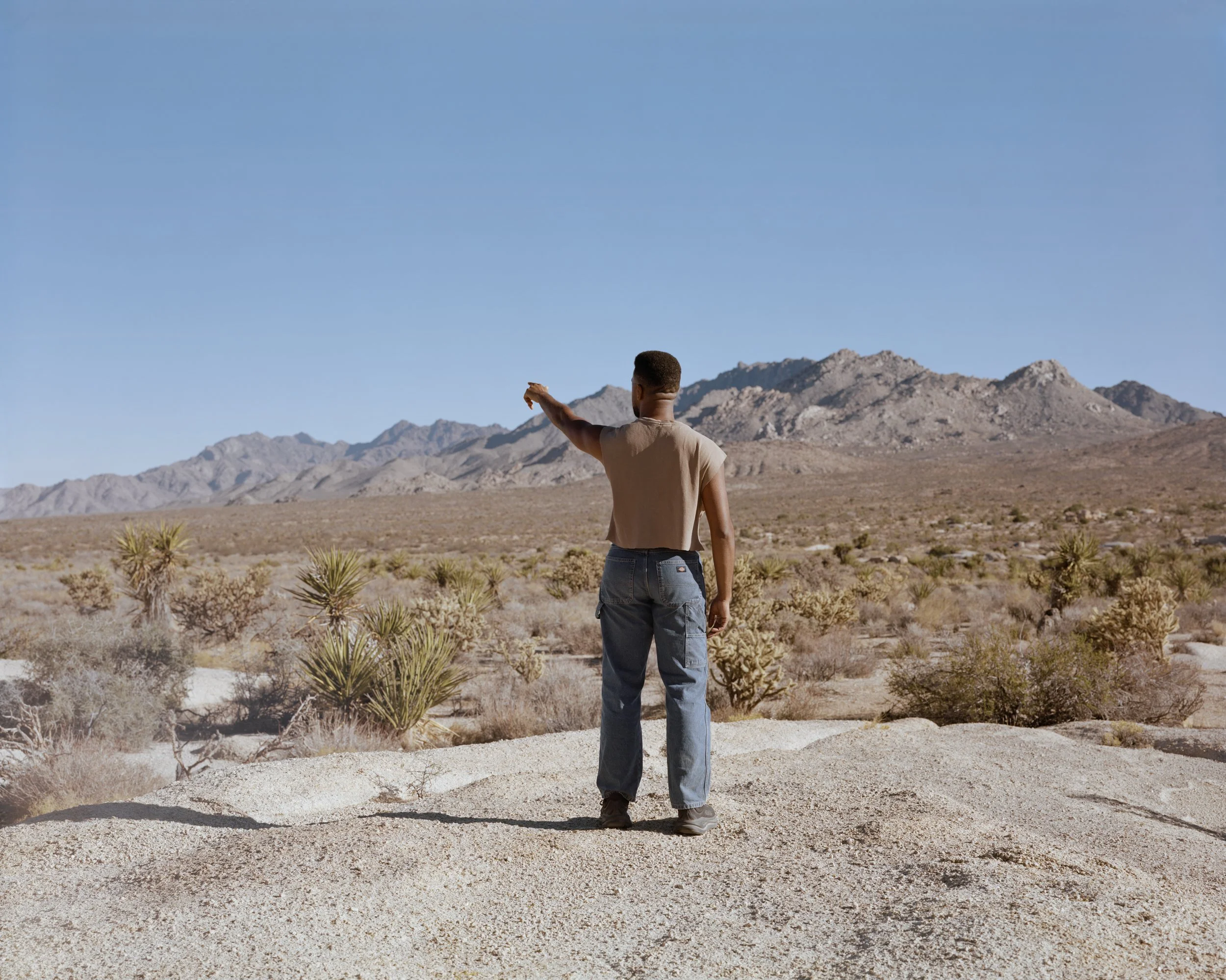 California (After John Wilde) 