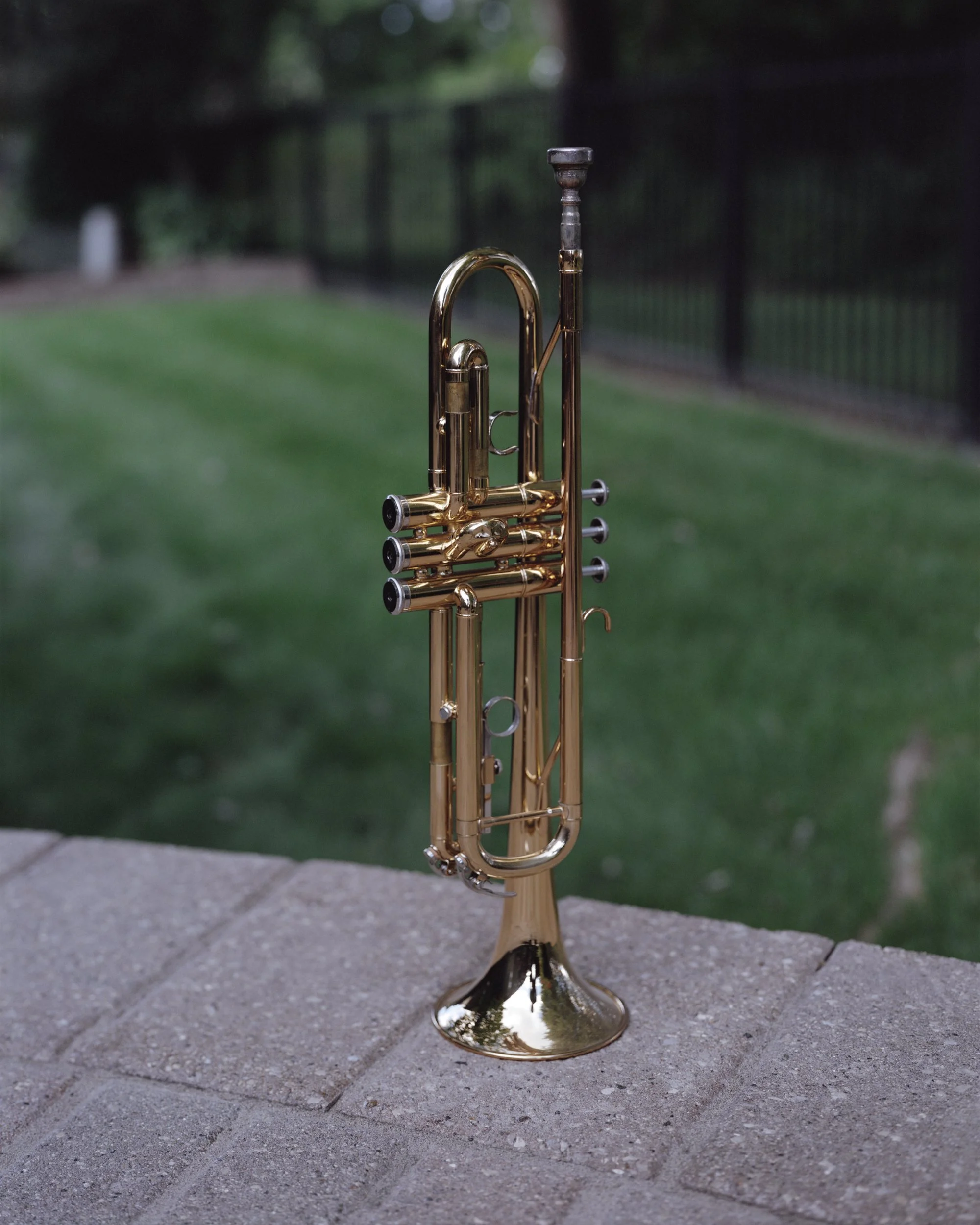 summer trumpet