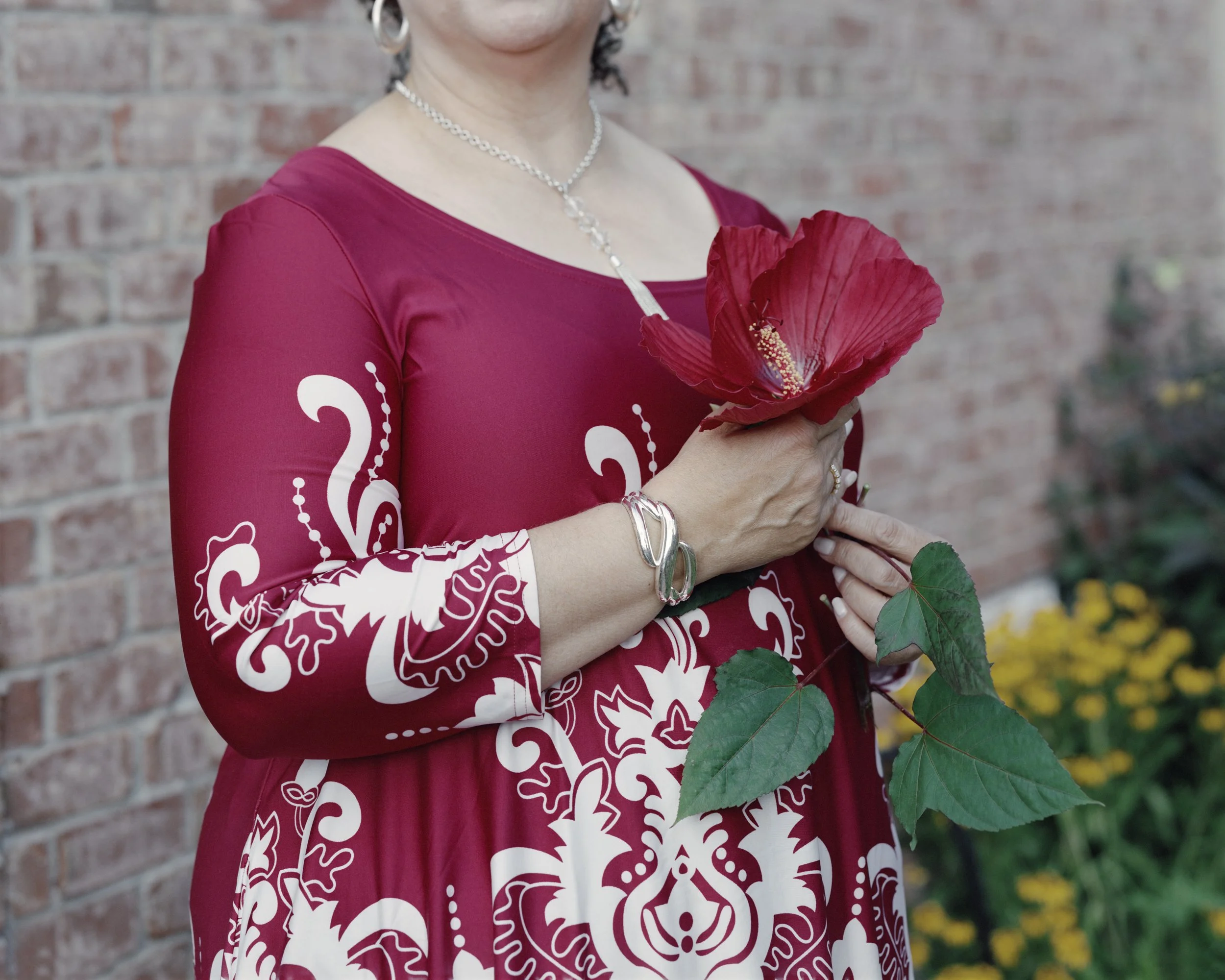 hibiscus