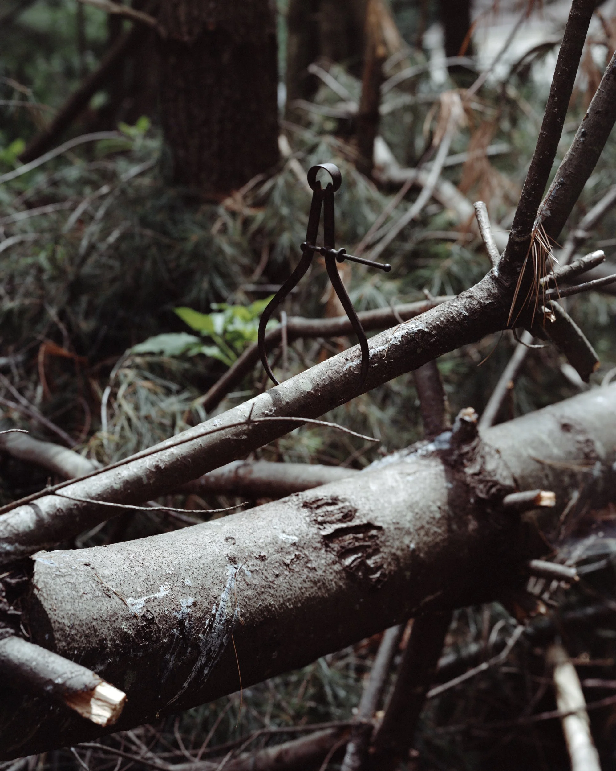 Caliper, Great Barrington, MA