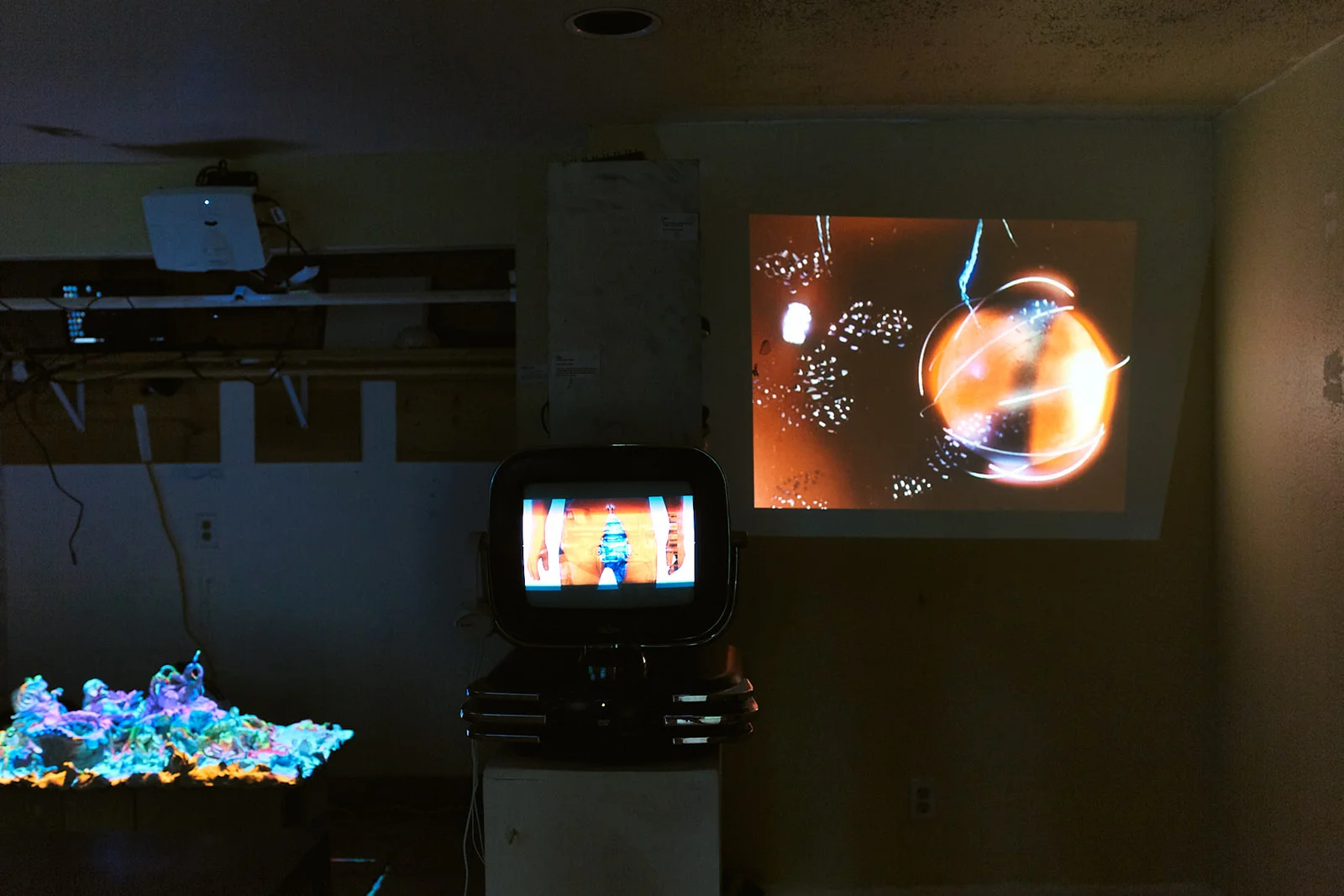 7D6A6109.jpg