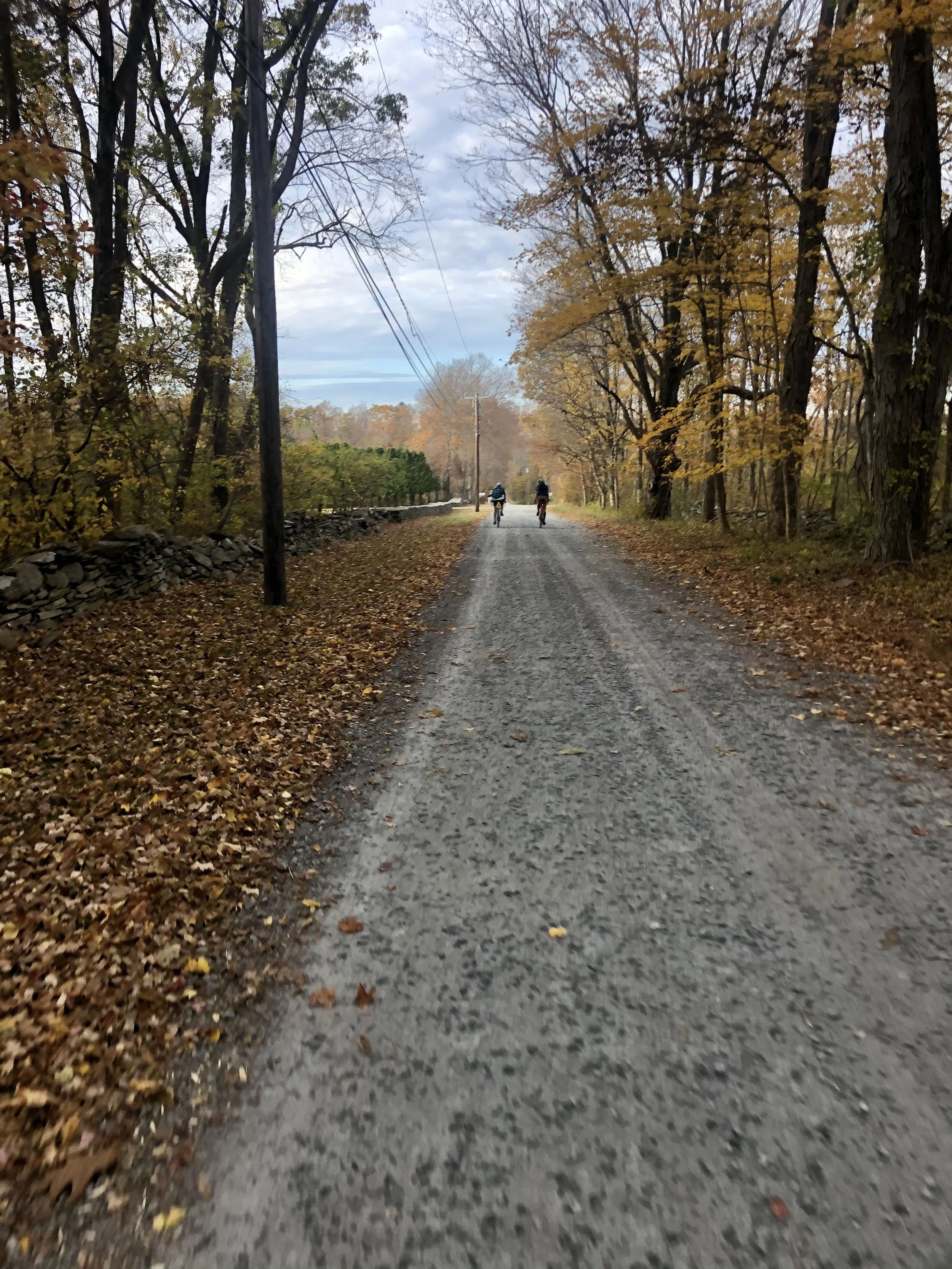 Nutmeg Nor’easter