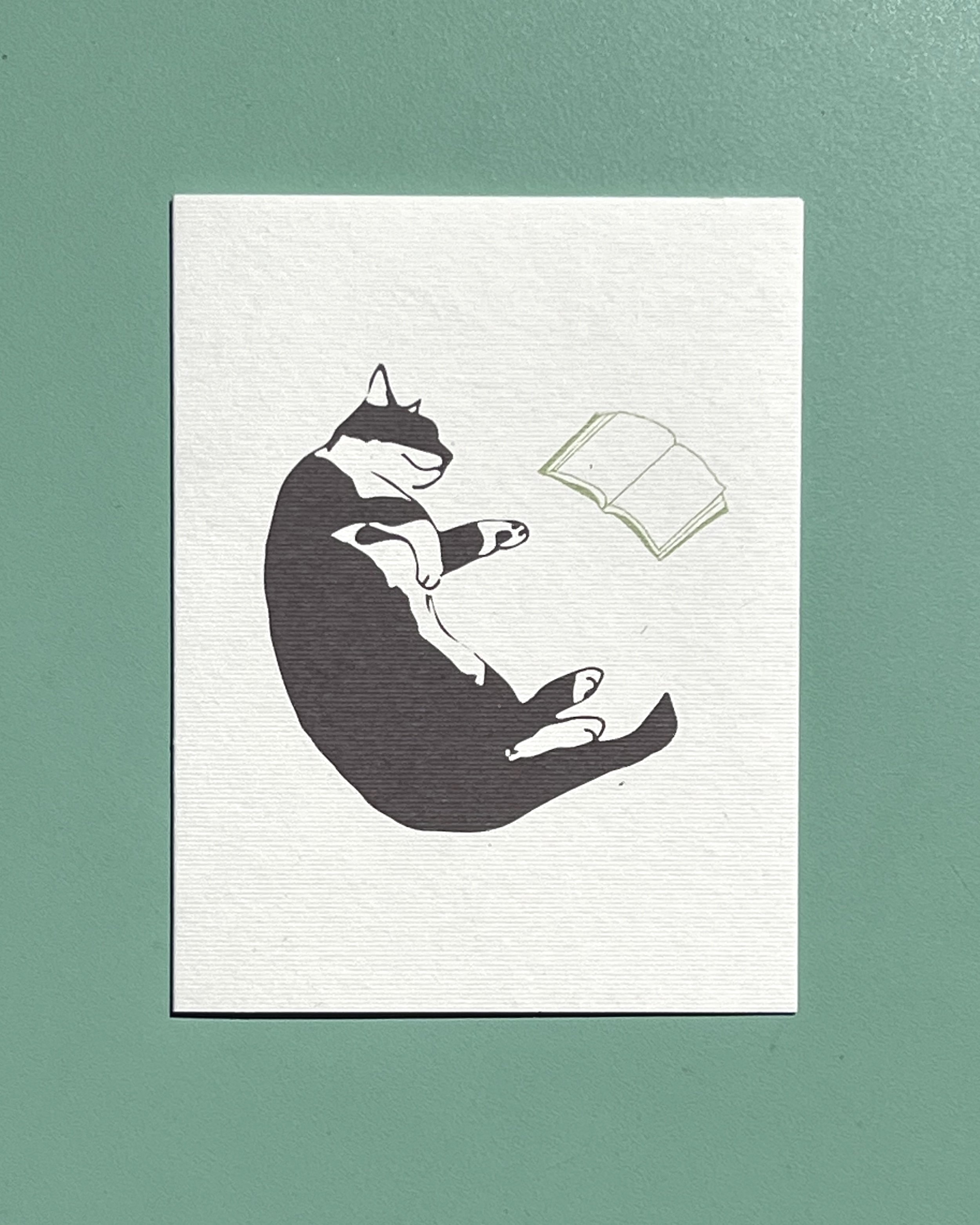 Cat & Book