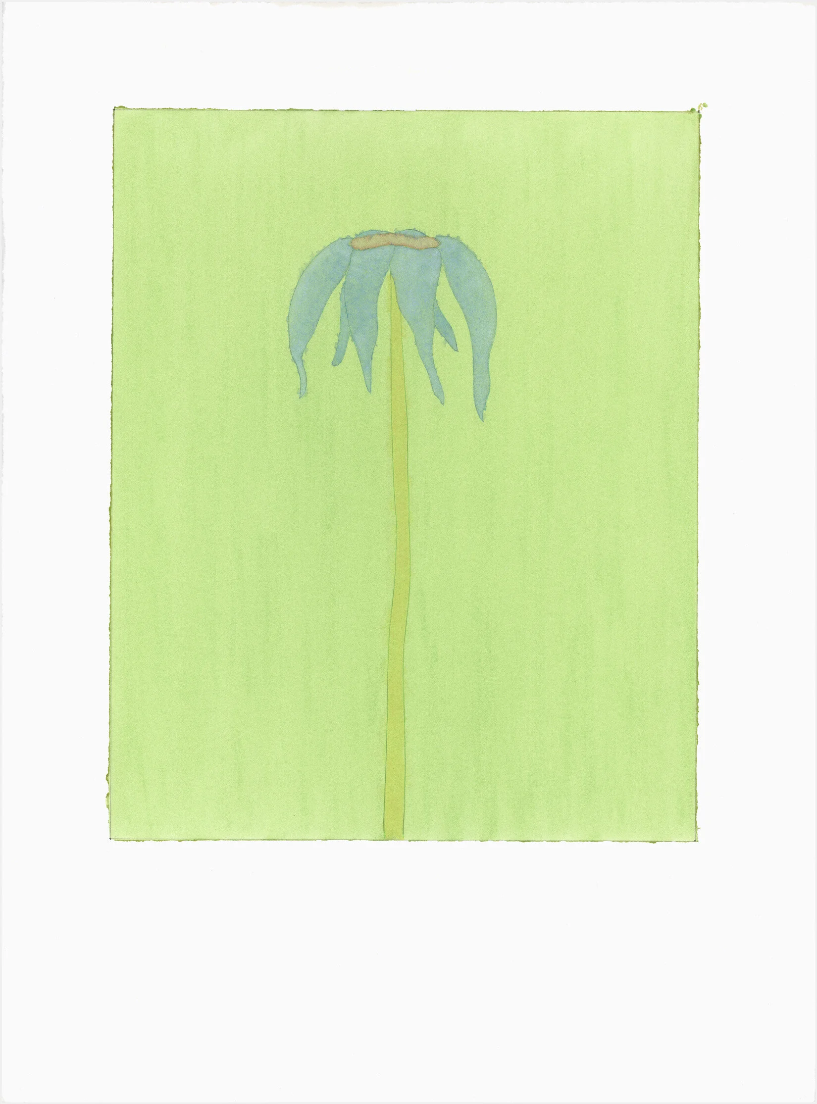 blue 22.5 x 30 watercolor, ink and pencil on paper