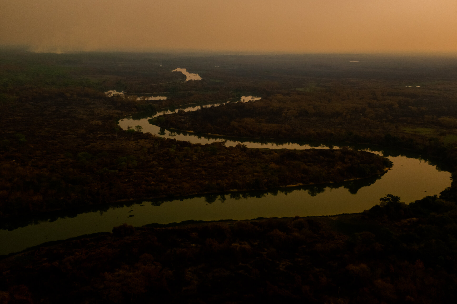 Farpa_Pantanal-62.jpg