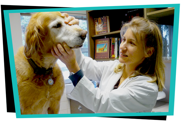 Ballard Animal Hospital