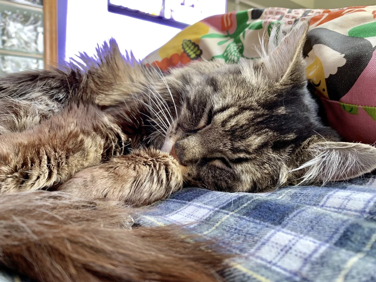 In Memory of Henry Robison