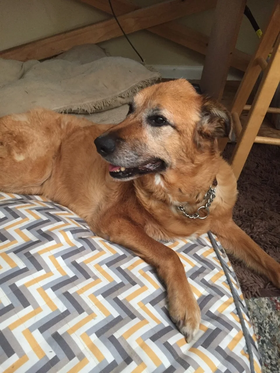 In Memory_102518_Dilla Dew.jpg