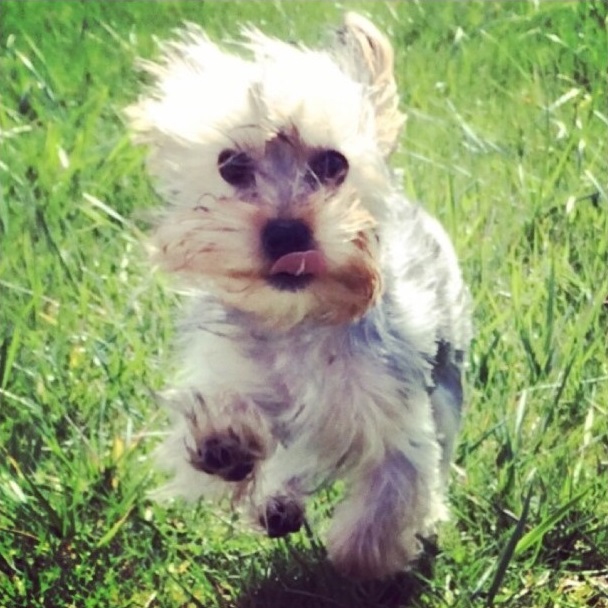 In Memory of Walter Dean