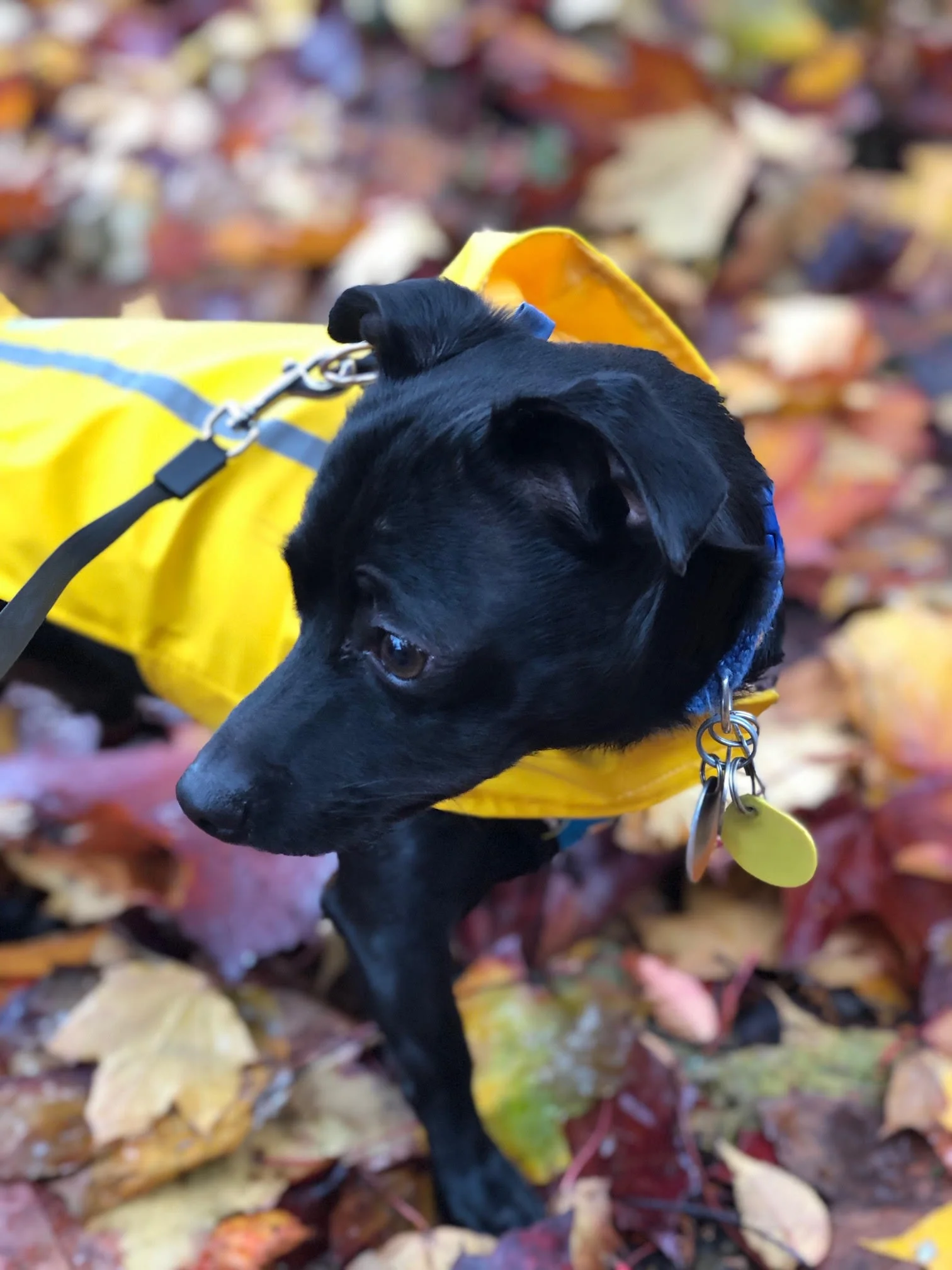 In Memory of Tucker Trausch