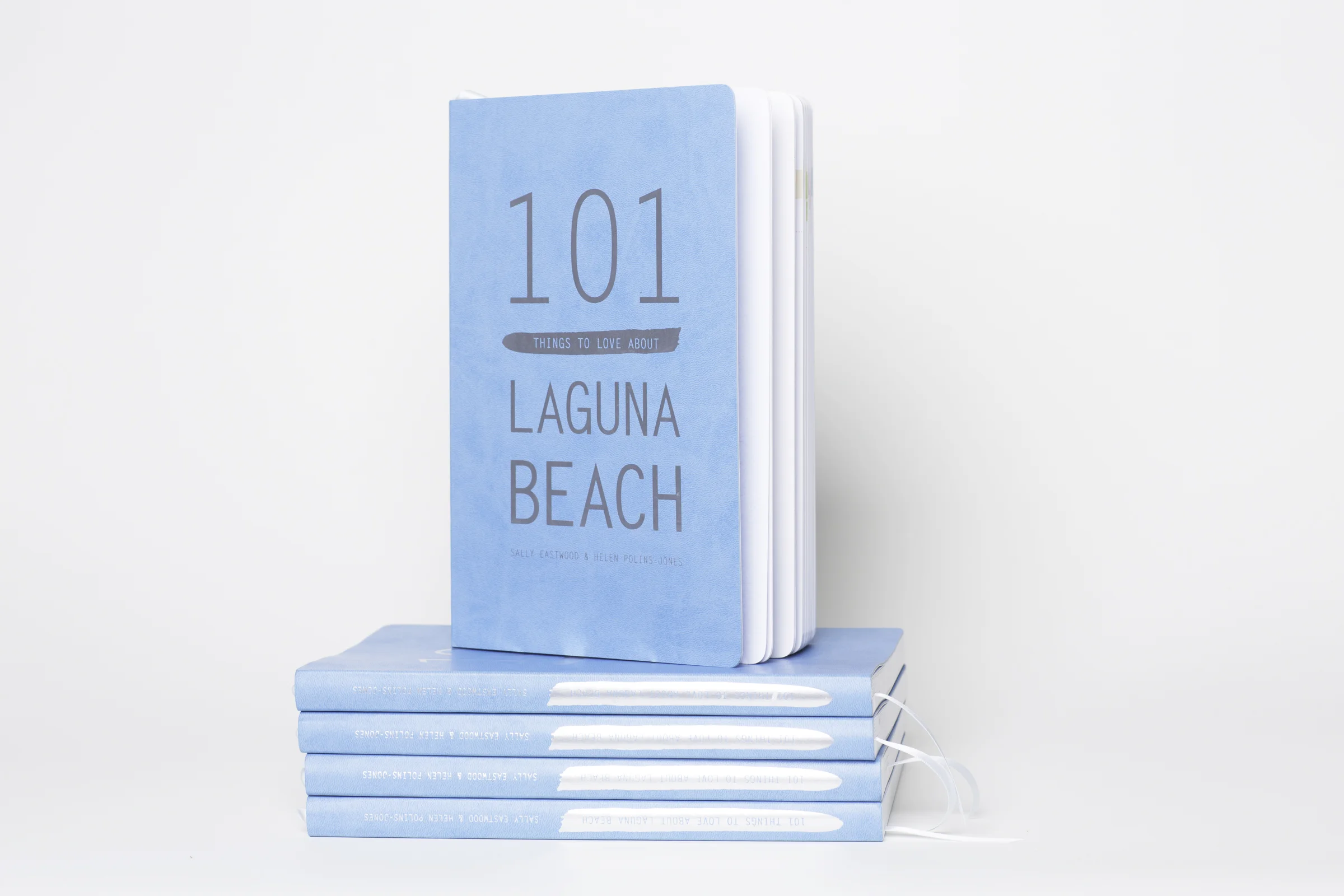 101 book.jpg
