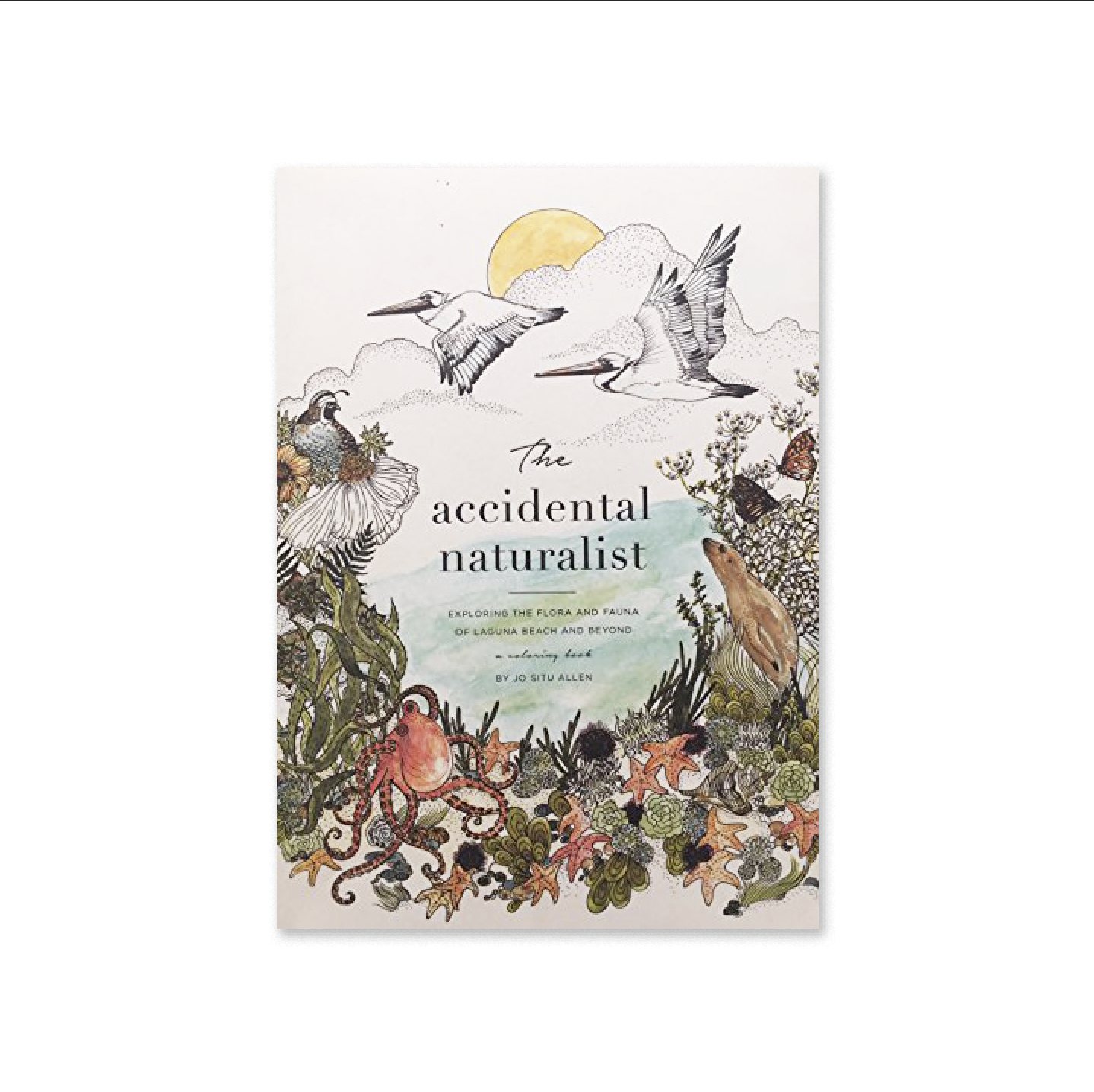 The Accidental Naturalist: Exploring the Flora and Fauna of Laguna Beach and Beyond