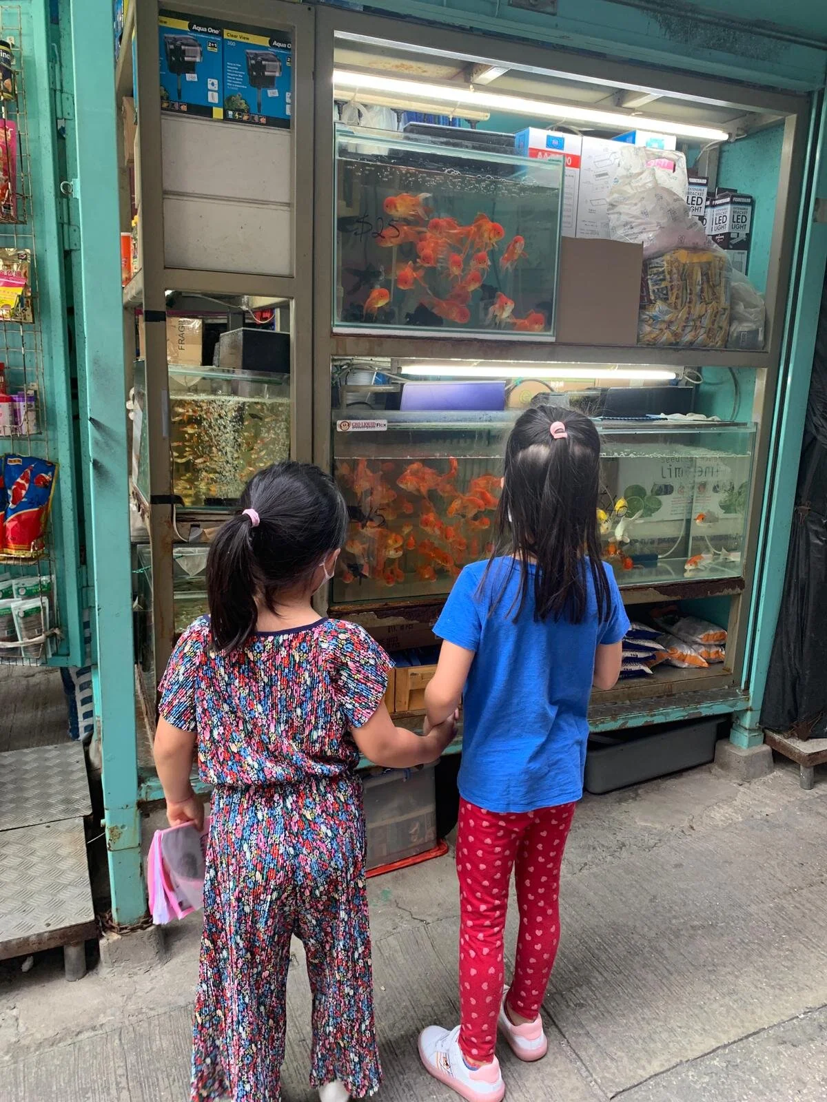 WhatsApp Image 2020-07-02 at 6.30.16 PM.jpeg