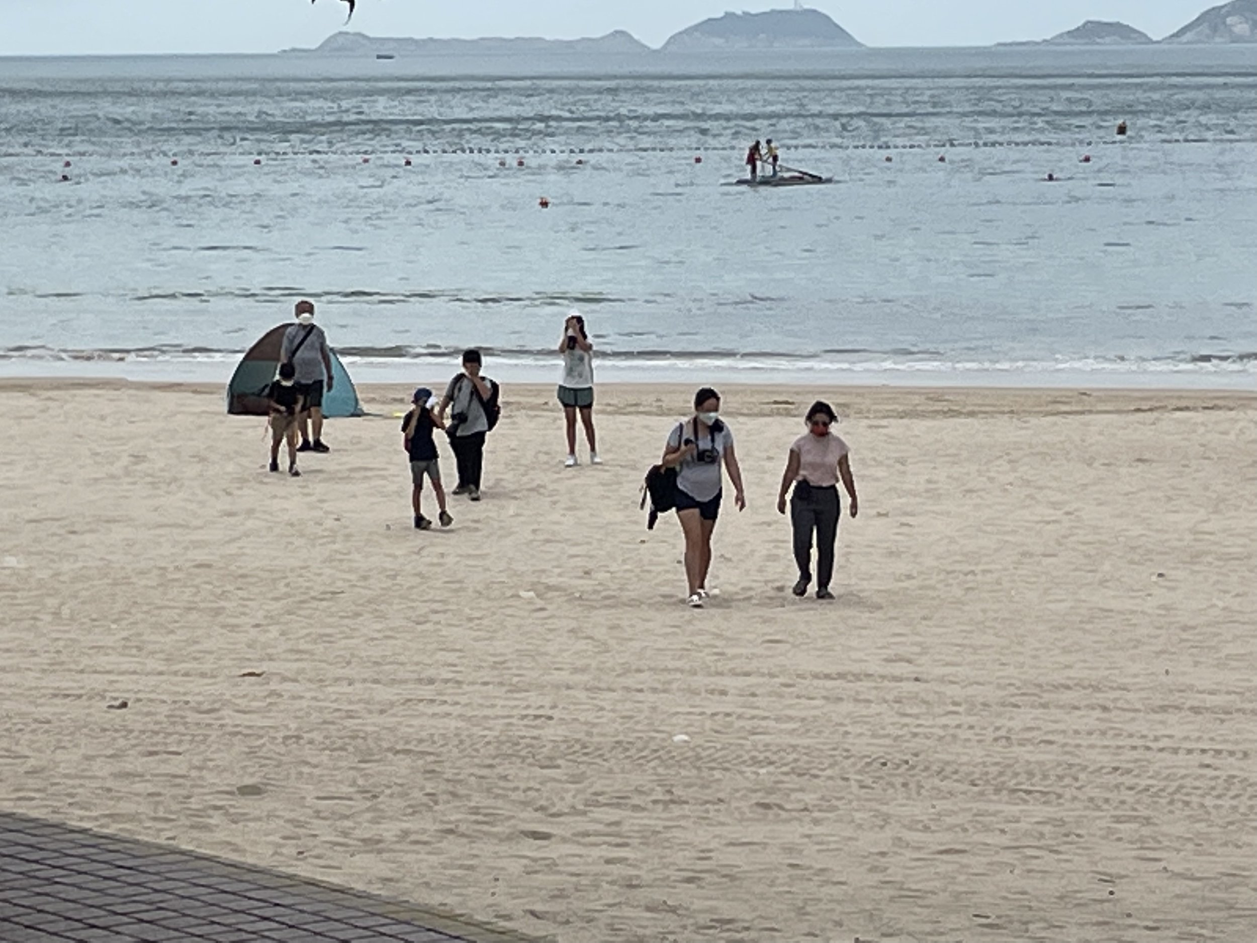 IMG_8012.jpeg