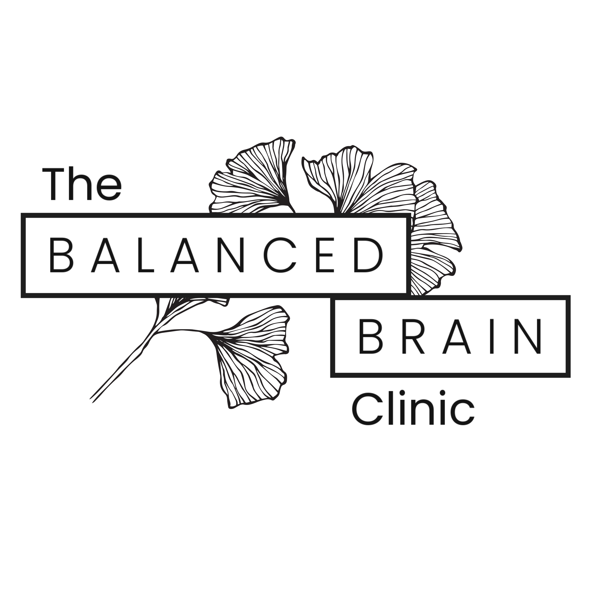 The Balanced Brain Clinic