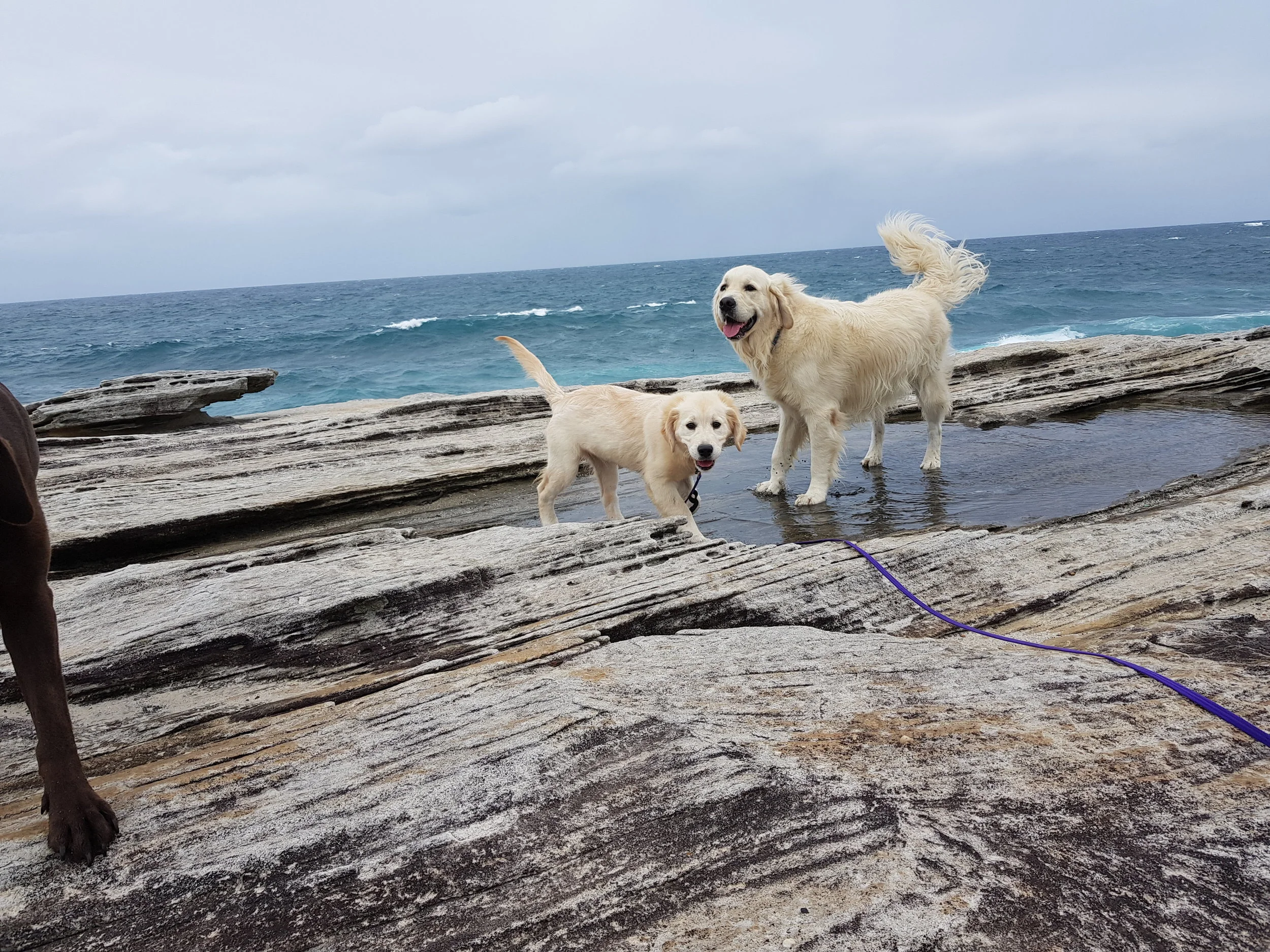 Possible selection as well.jpg