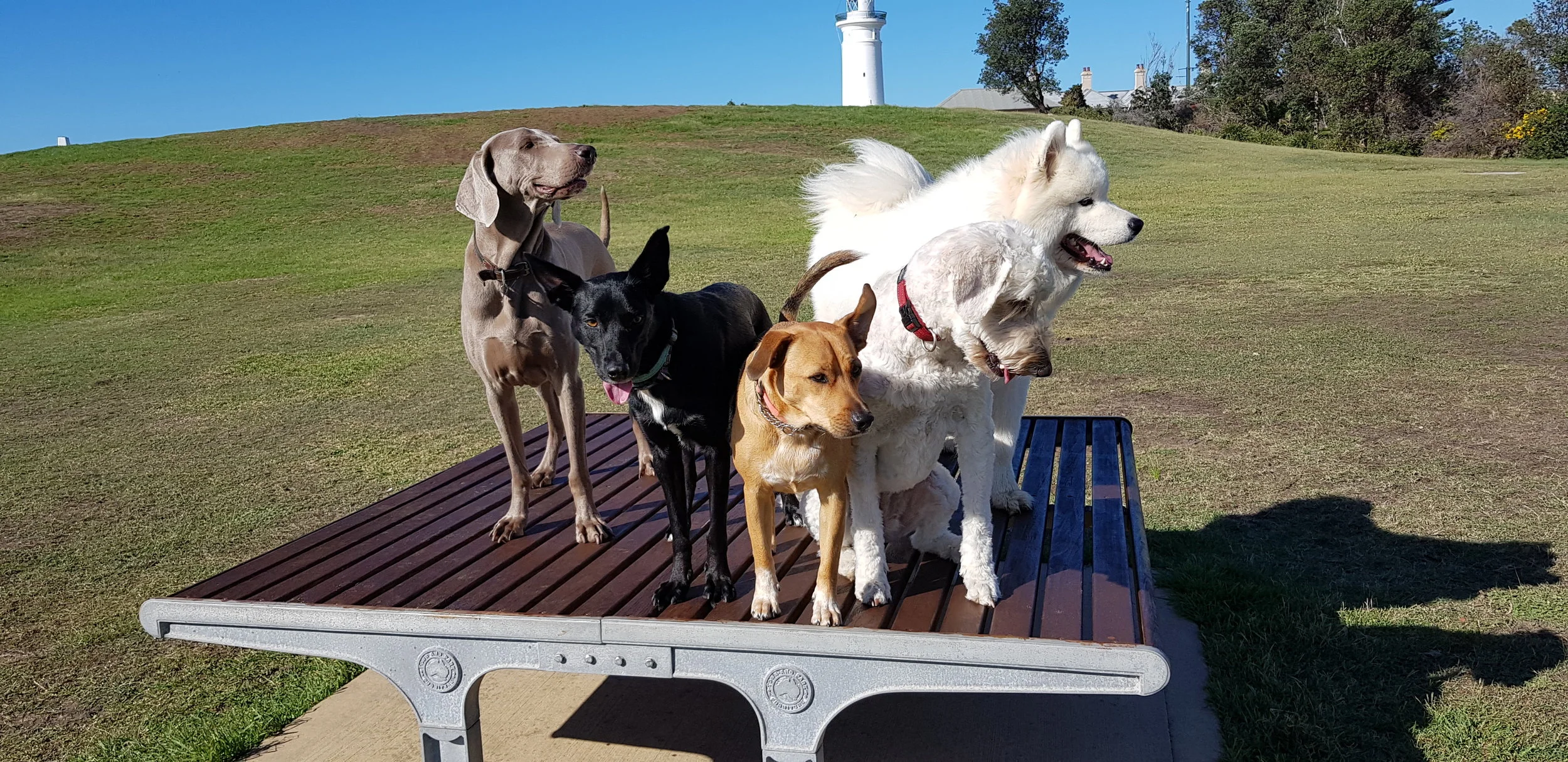 Copy of 20180327_093829(0).jpg