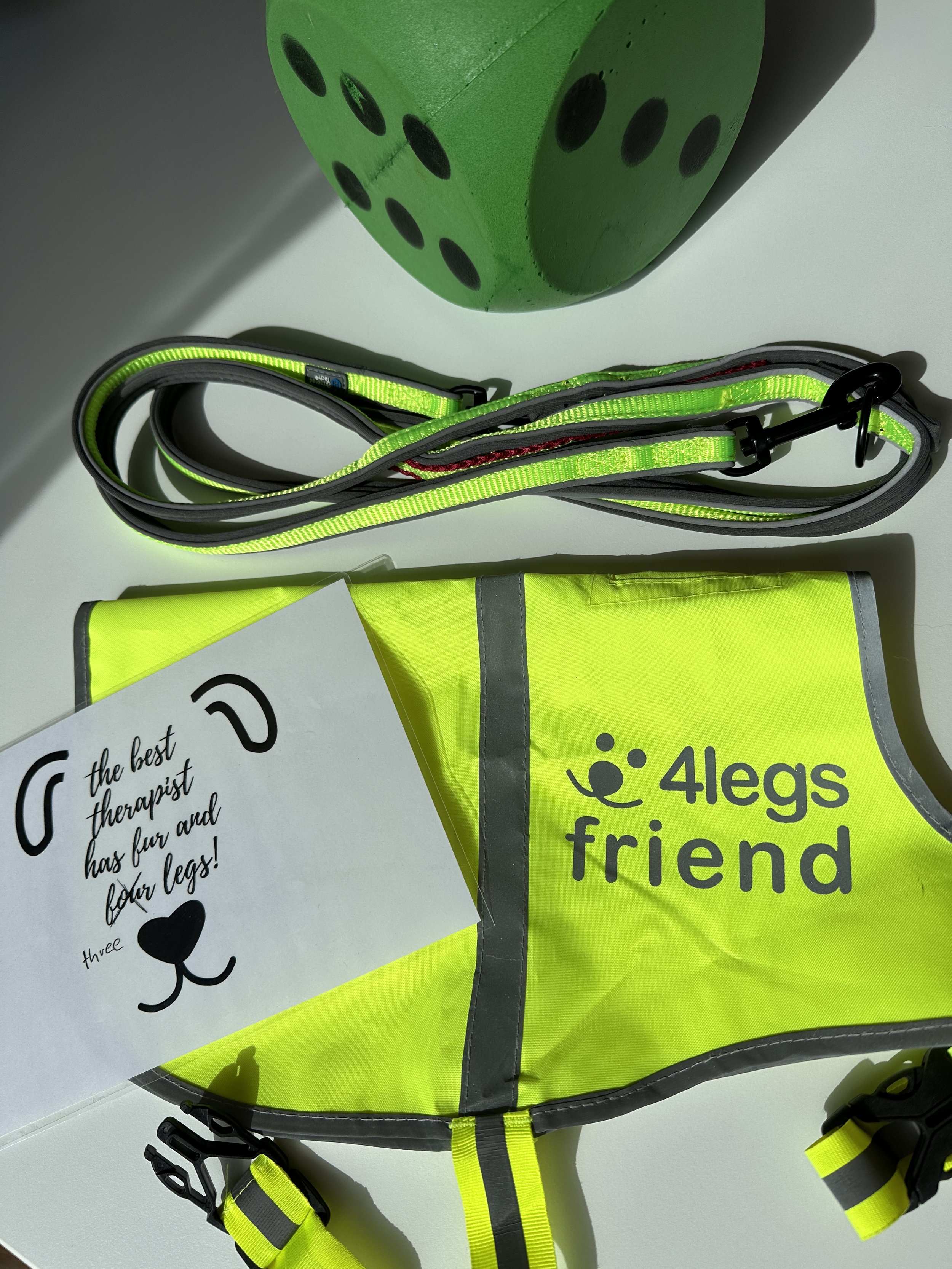Ausbilung Therapiebegleithund  5.JPG