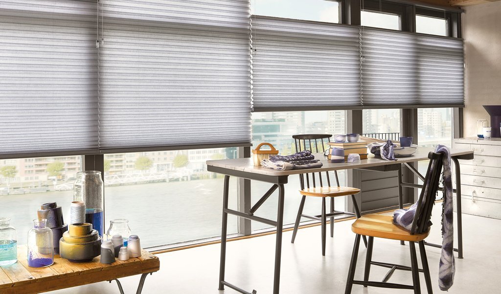 DUETTE BLINDS