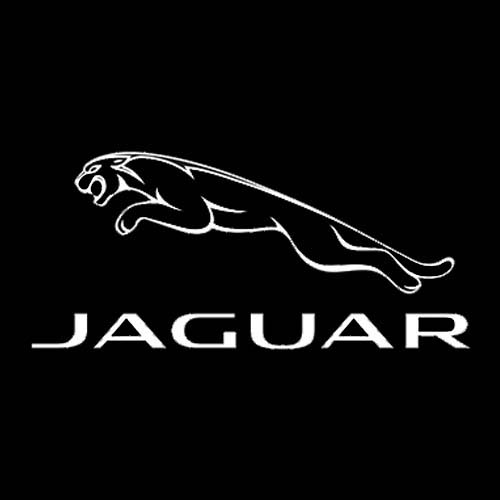 Jaguar-Logoforwebsite.jpg