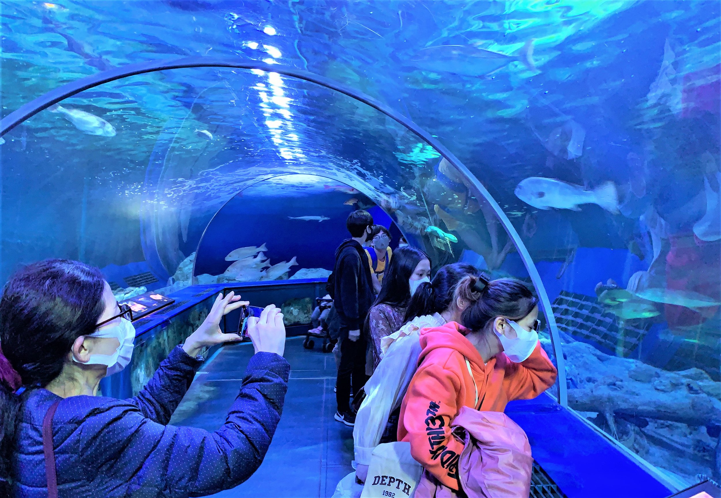 Experiential Learning Odaiba Shinagawa Aquarium Isaac Tokyo International Academy Experiential Learning Odaiba Shinagawa Aquarium Isaac Tokyo International Academy