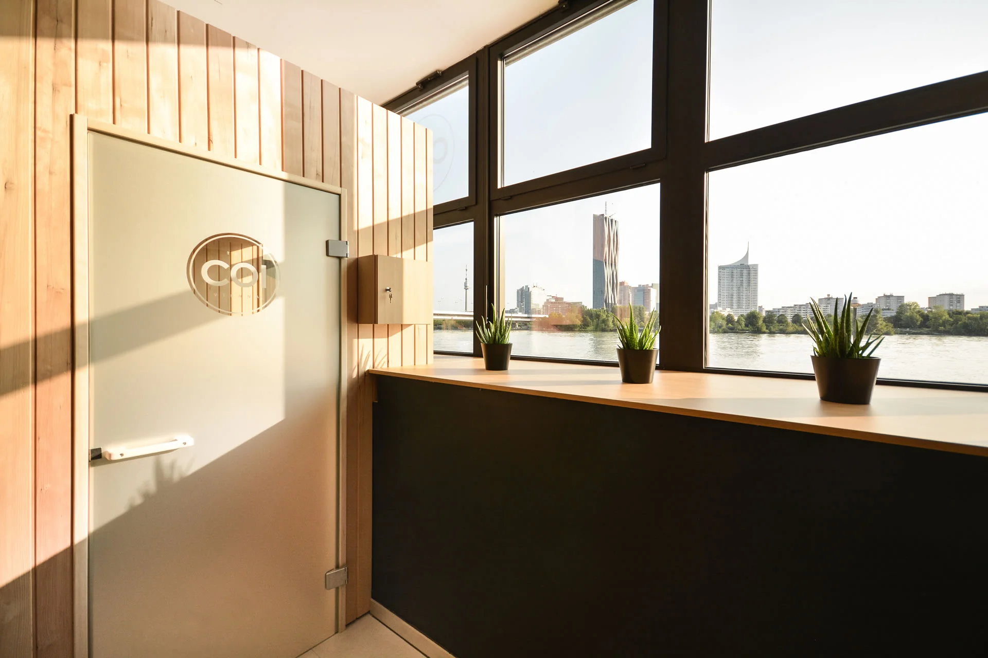 apa_whocaresdesign_0210.jpg