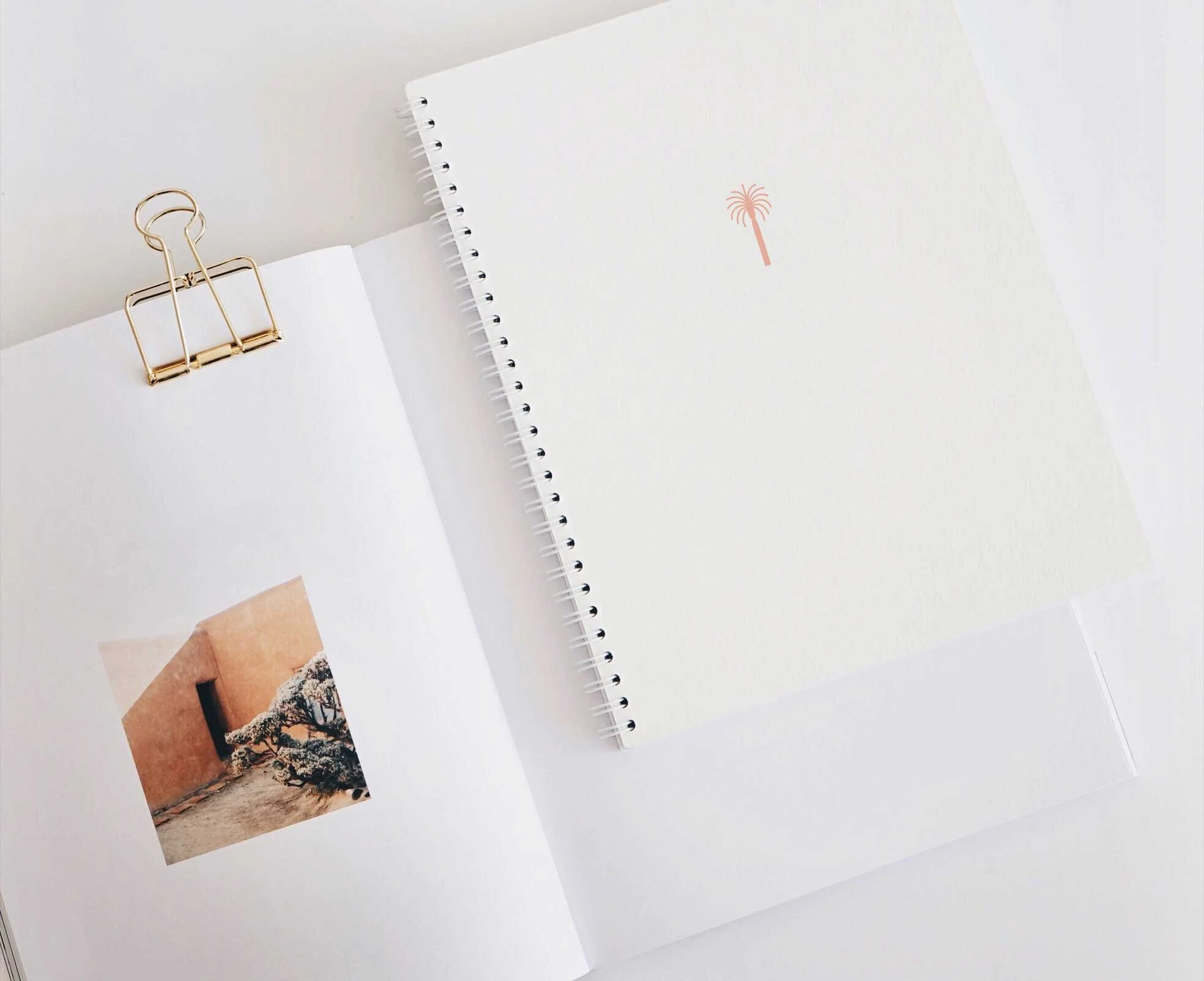 Palm-Avenue-Projects-Book.jpg