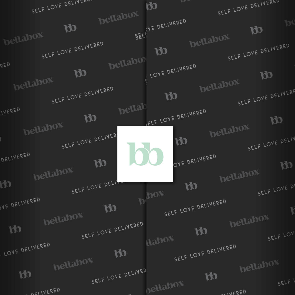 BellaBox paper 2.jpg