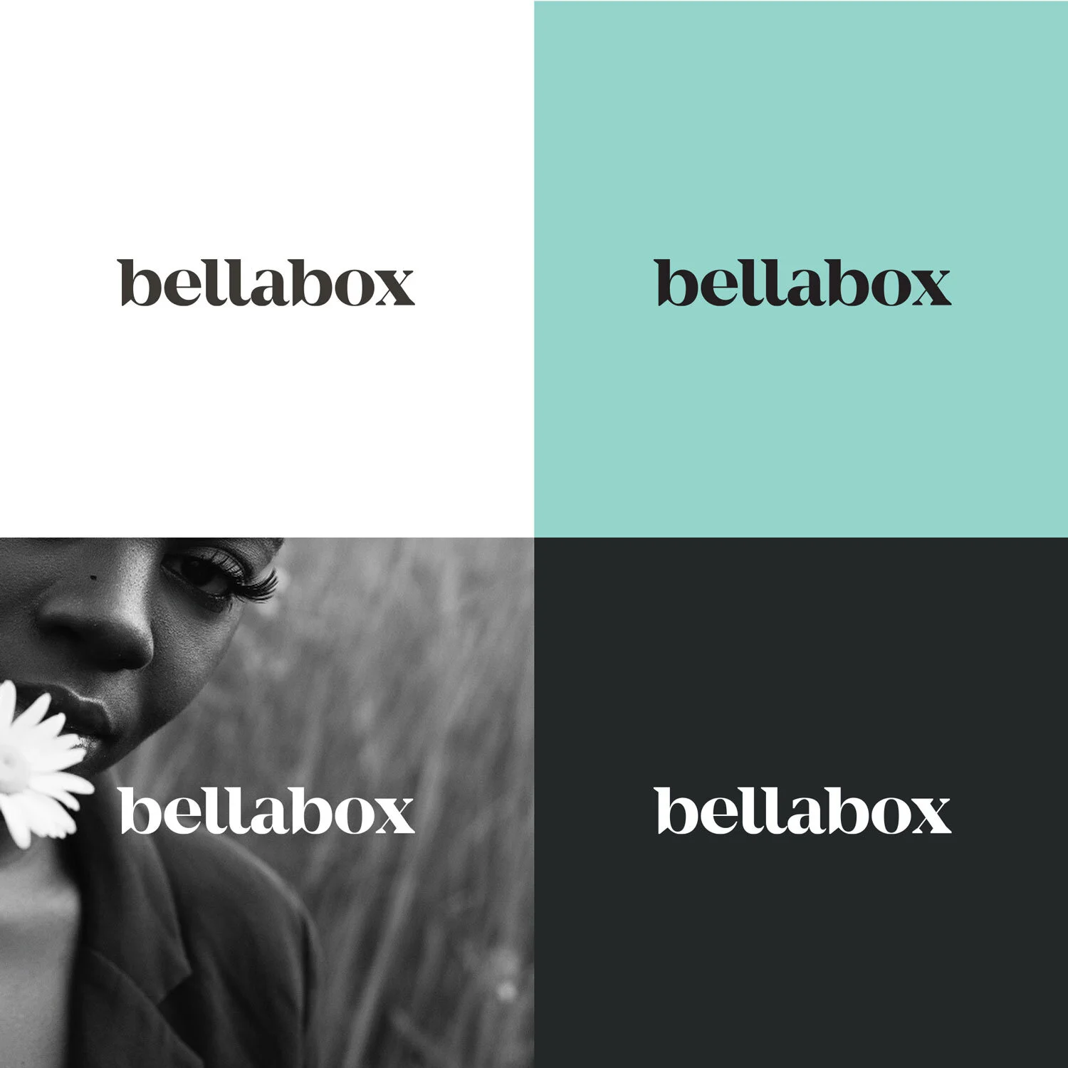 Bellabox-Logos.jpg