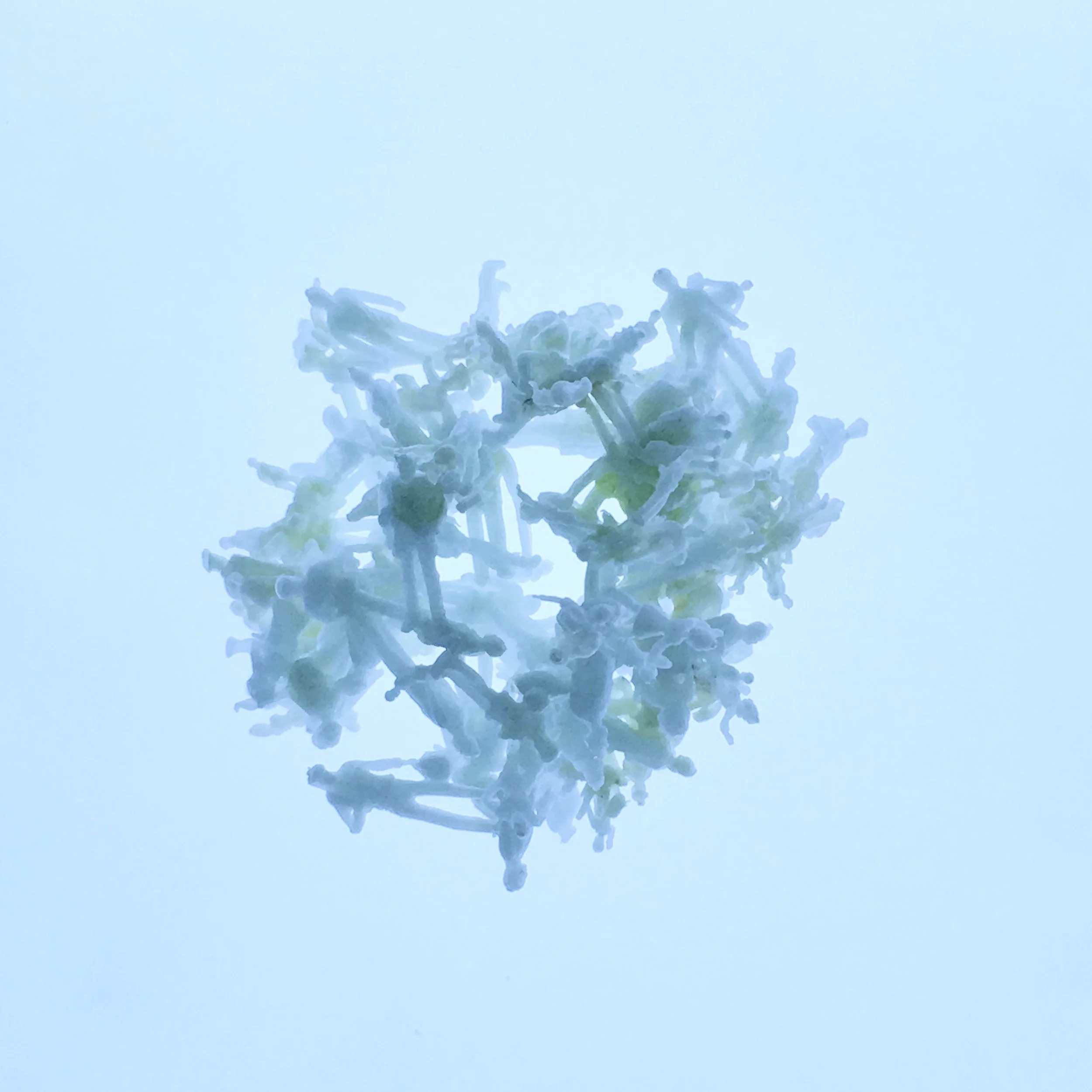 IMG_E3362 - Version 2.JPG