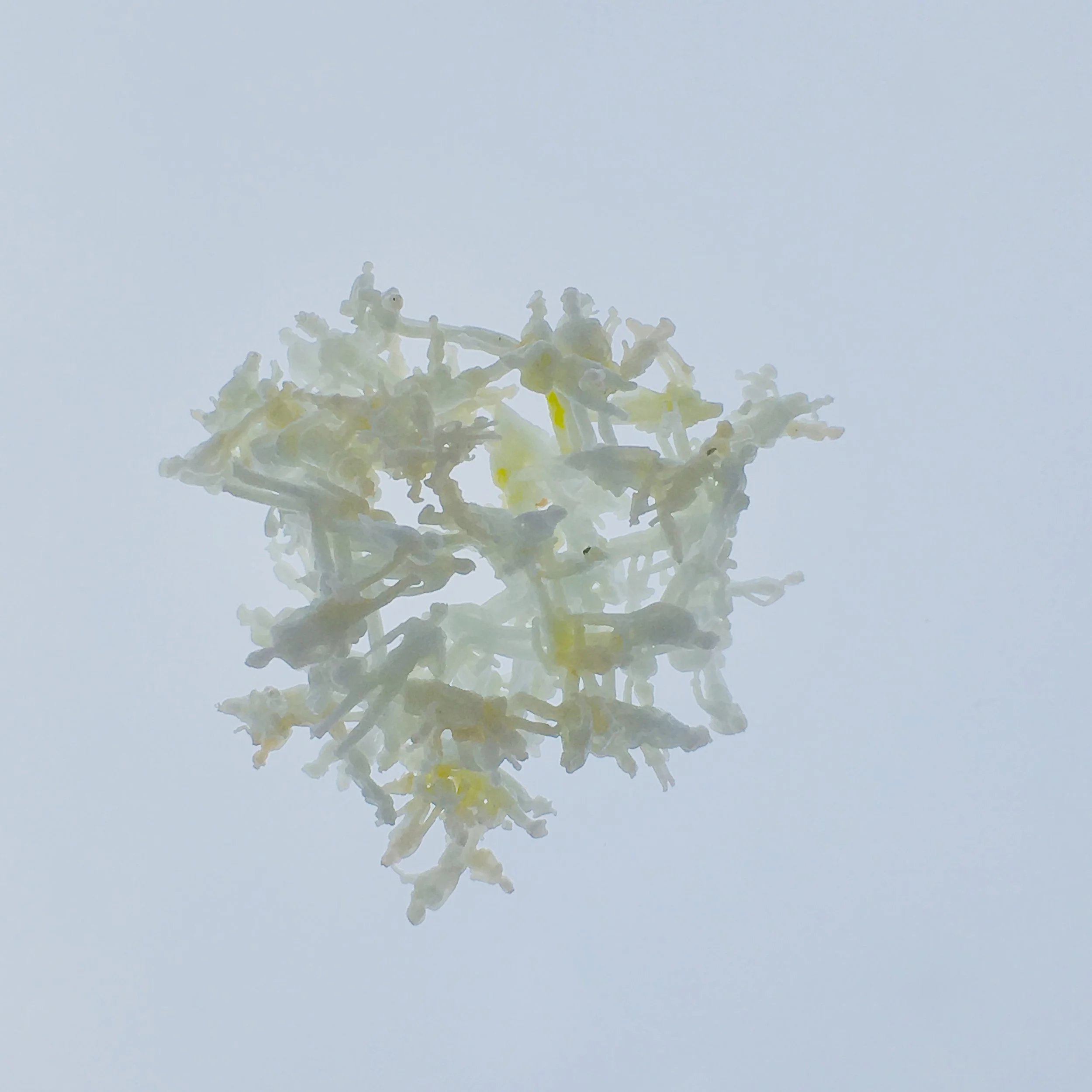 IMG_E3363 - Version 2.JPG