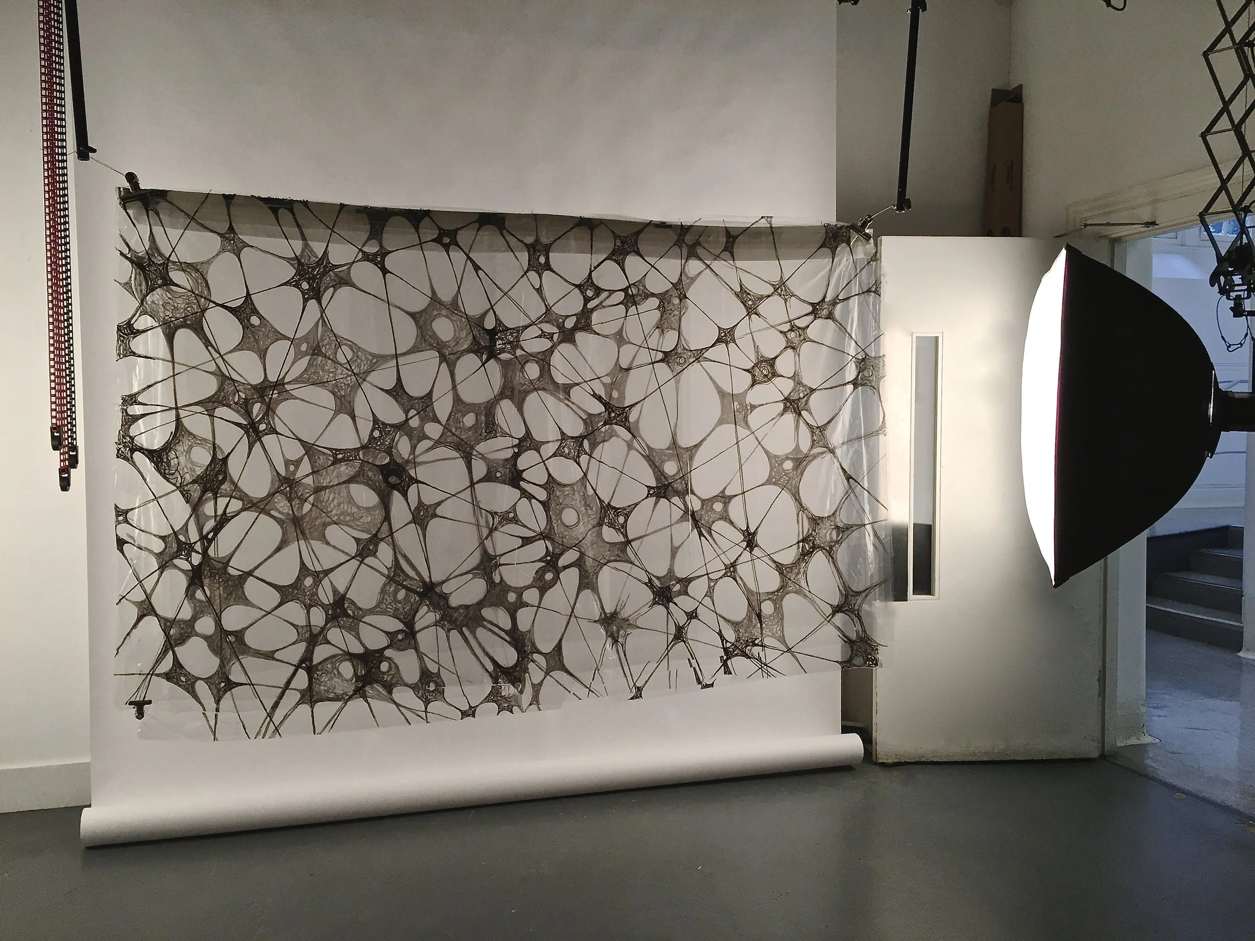 IMG_1608 - Version 2.JPG