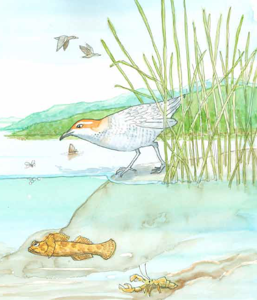 Screen Shot 2019-06-11 at 8.49.01 pm.png